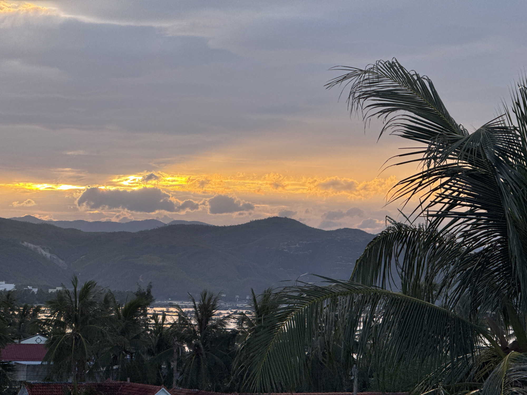 The image depicts a serene sunset over the city of Song Cau, Vietnam. The sky is a canvas of soft gray clouds tinged with vibrant orange and yellow hues from the setting sun, which is partially obscured by clouds. In the foreground, lush green palm fronds frame the scene, their delicate leaves catching the fading light.
Beyond the palms, a series of rolling, dark green mountains form a majestic backdrop, their slopes softened by the twilight. In the mid-ground, a body of water, possibly a bay or a river, reflects the warm colors of the sky, creating a shimmering, ethereal effect. Scattered along the waterfront and nestled among the trees are glimpses of buildings with terracotta roofs, suggesting a residential area. A few white structures are visible further in the distance, adding to the sense of a coastal town. The overall atmosphere is one of tranquility and natural beauty, capturing the peaceful end of a day in Song Cau.