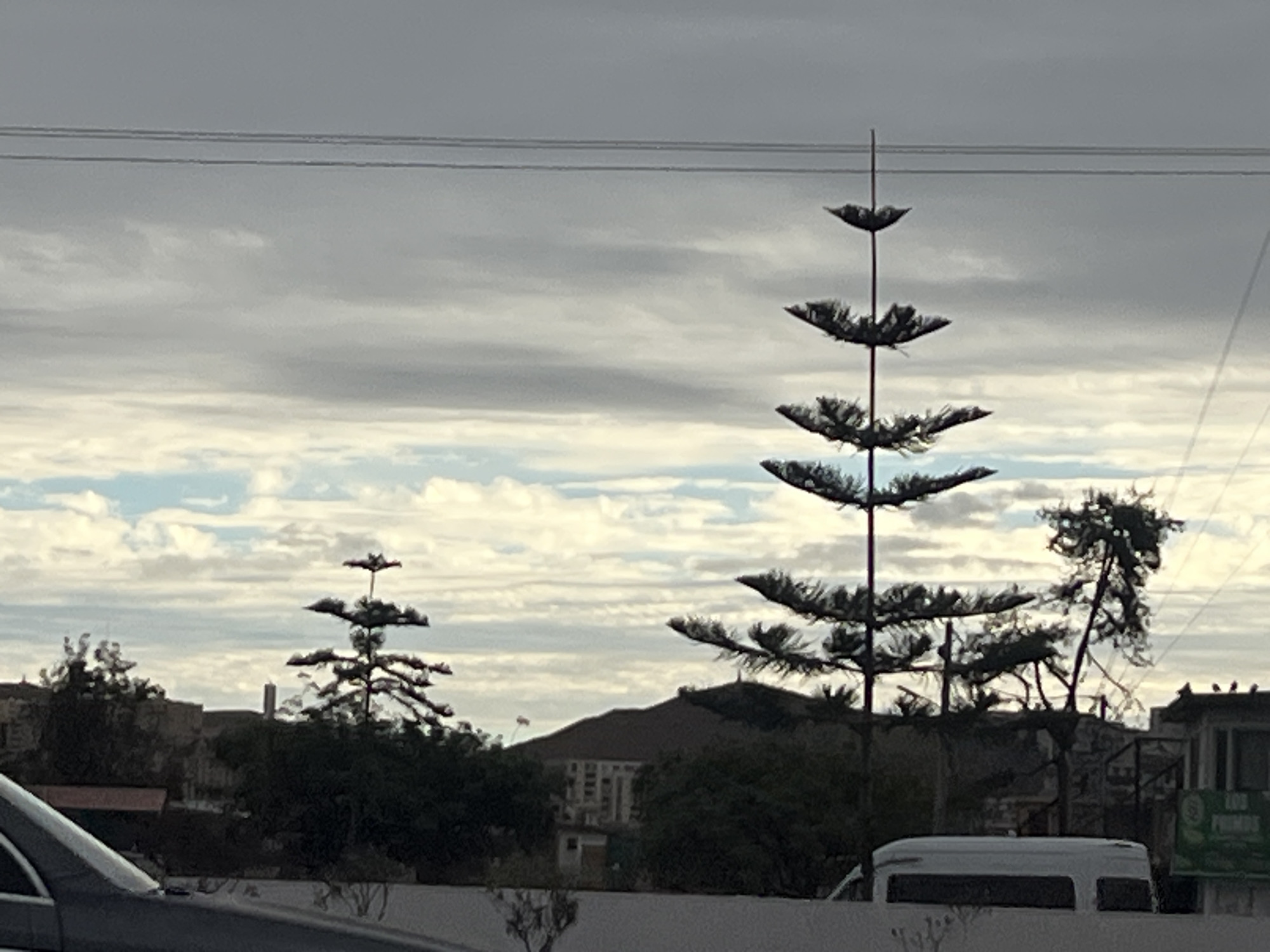 The image shows an overcast sky with scattered clouds. In the foreground, the hood and windshield of a dark-colored vehicle are visible. Behind the vehicle, several trees, including a distinctive Norfolk Island pine with its tiered branches, are present. In the background, there are buildings and a dark-colored van. The overall scene appears to be urban. The presence of Norfolk Island pines is consistent with the coastal climate of Arica, Chile.