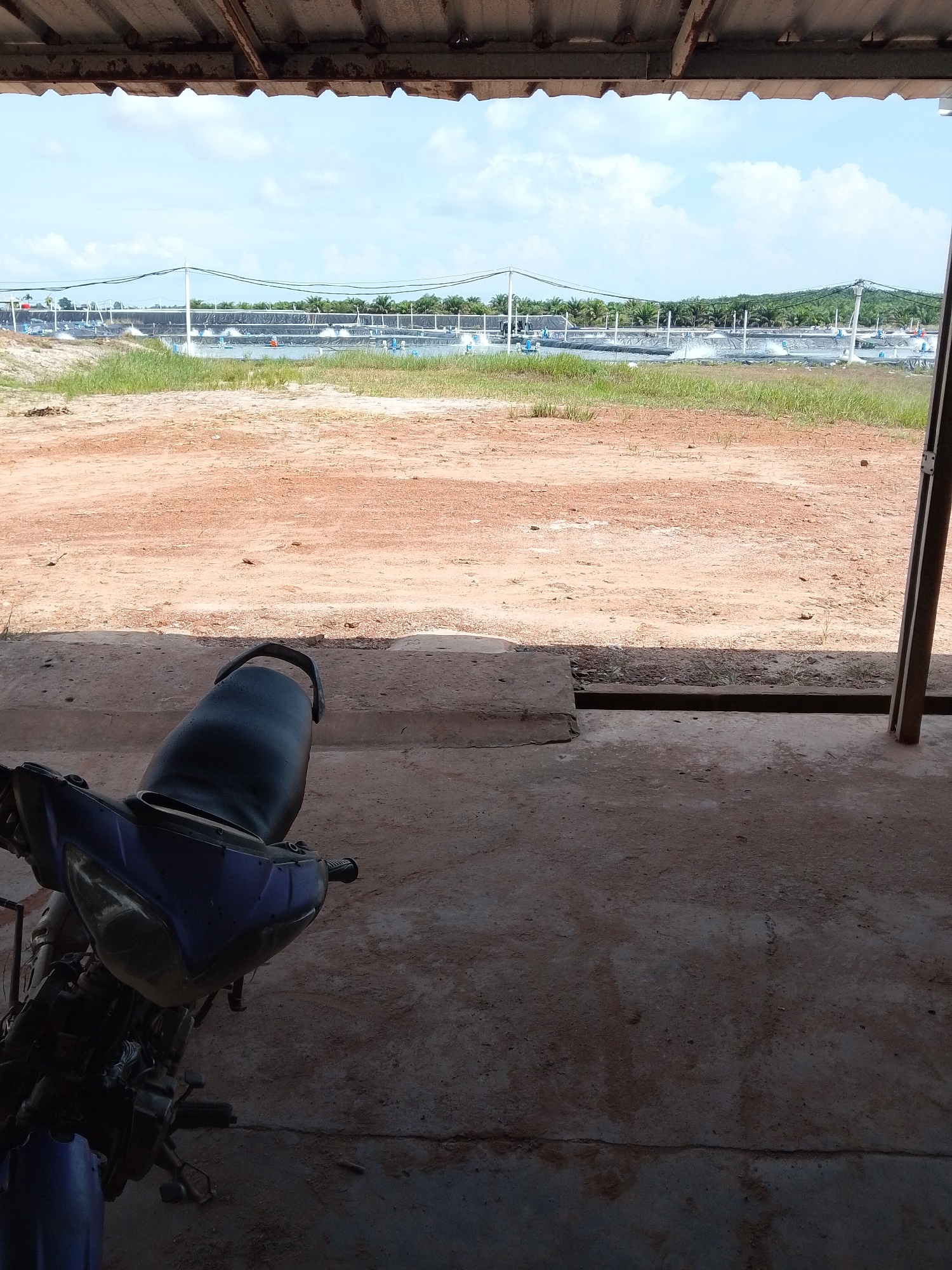 The image, taken in Bukit Ketok, Indonesia, shows a view from under a covered structure. A blue motorcycle is partially visible in the foreground. The ground immediately outside the structure is a reddish-brown dirt. Beyond that, a series of aquaculture ponds are visible in the middle ground, stretching toward the horizon. These ponds are lined with dark material and have numerous aerators in operation, creating a churning water surface. Trees are visible on the horizon. The sky is pale blue with scattered clouds.