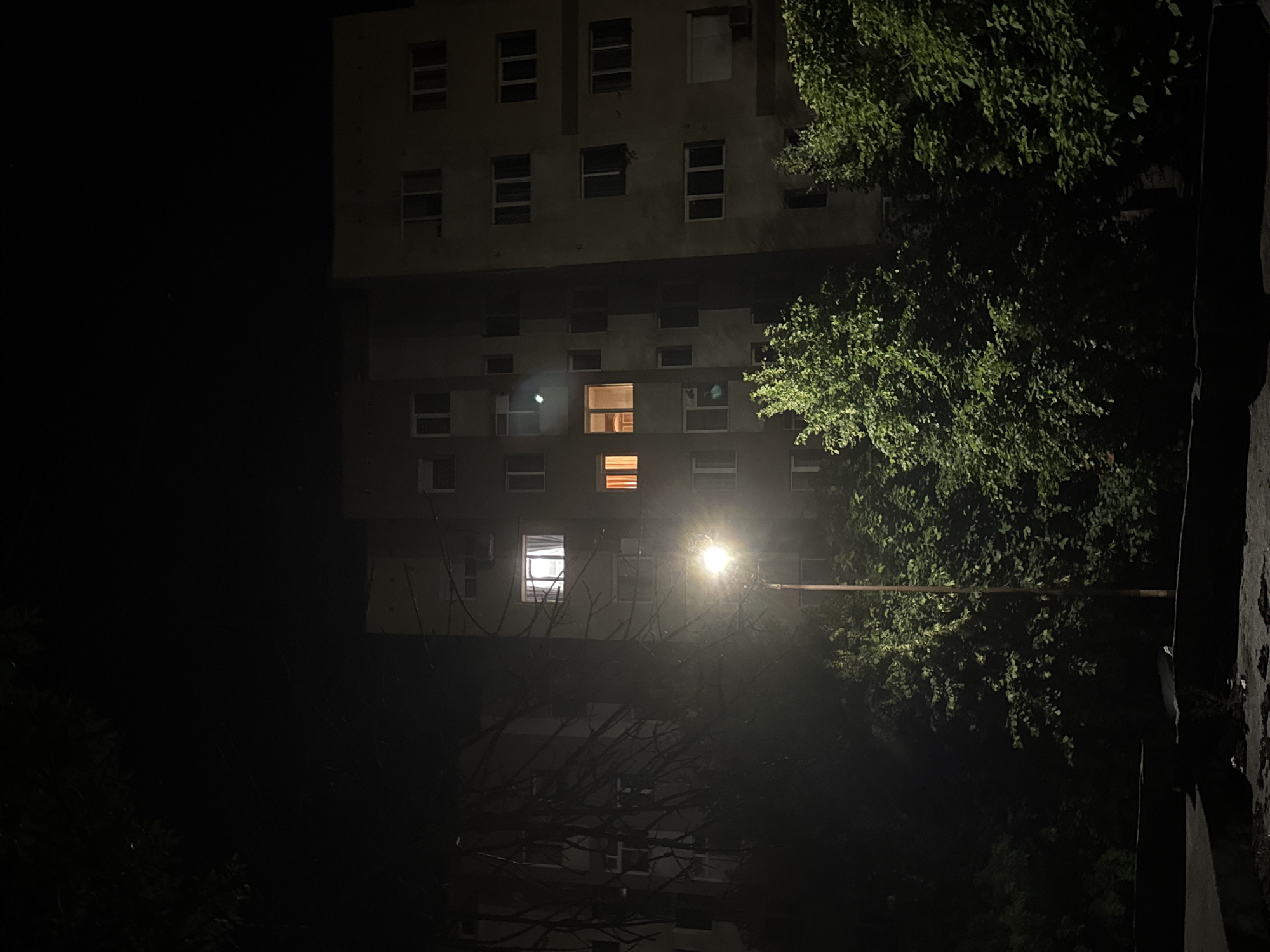 The image captures a nighttime urban residential scene in Blagoevgrad, Bulgaria. Under a completely dark sky, several multi-story apartment buildings are visible. A prominent street lamp, centered in the lower mid-ground, emits a strong white light, illuminating the immediate foreground and the lower portions of surrounding trees. Dense green foliage and tree branches, brightly lit by the street lamp, occupy the lower and mid-left sections of the frame, partially obscuring the buildings behind them.
The central apartment building features numerous windows; specifically, two windows on a mid-level floor are brightly lit. The leftmost of these displays a stark white interior light, while the adjacent window glows with a warmer, orange-yellow light, its interior partially obscured by curtains. The remaining visible windows across all buildings are dark, indicating unlit interiors. A building on the far left is largely shadowed and partially visible through bare tree branches. The building on the far right appears completely dark. The ground in the immediate foreground consists of a dark, uneven surface. No individuals or discernable activities are present in the scene.