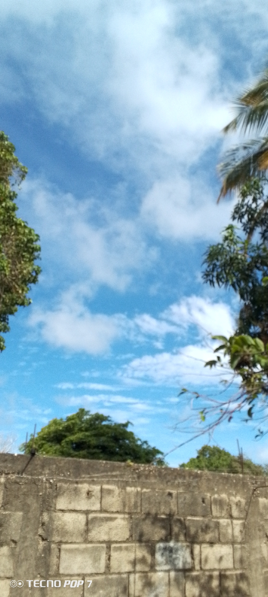 The image shows a view of the sky with scattered clouds, framed by trees on the sides and a concrete block wall at the bottom. The leaves of the trees are green and lush, suggesting a tropical or subtropical environment. The sky is a mix of blue and white, with the clouds appearing light and fluffy. The concrete block wall is gray and shows signs of weathering and age. The camera used was a TECNO POP 7. The exact location in Altagracia, Venezuela, cannot be determined definitively from the image alone.