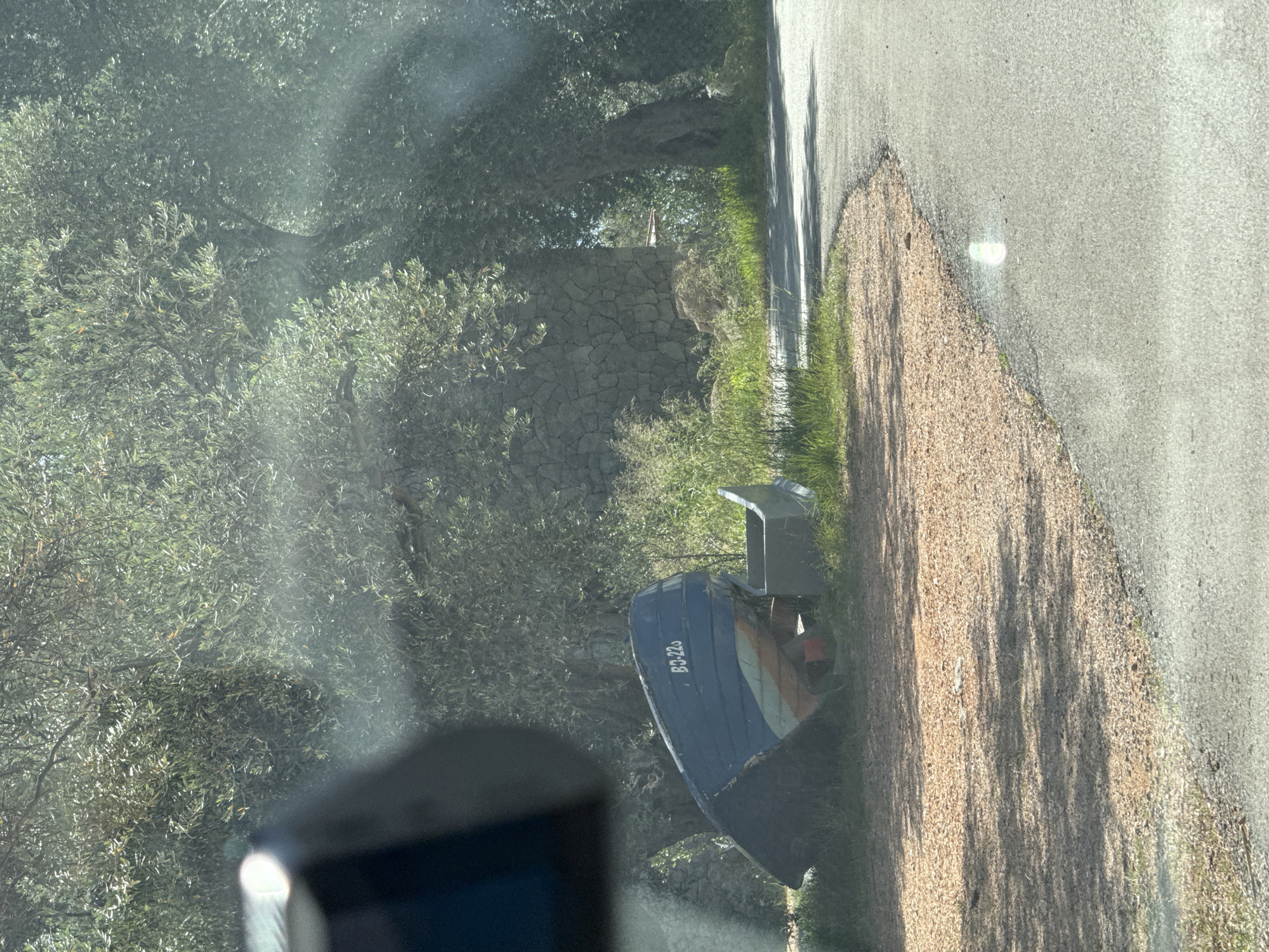 This image, captured in Sveti Stefan, Montenegro, presents a rural roadside scene viewed from inside a vehicle, evidenced by a dark object partially obstructing the upper left and lens flares. A light grey asphalt road curves from the lower right towards the center. To the left of the road, a strip of light brown aggregate, possibly gravel or wood chips, leads to an area of green grass and unkempt vegetation. An overturned, weathered blue and white fishing boat, bearing the registration "BG-226" on its hull, rests on the grassy embankment. Adjacent to the boat, a grey, rectangular, trough-like structure is visible. The background is dominated by numerous olive trees with their dense, silvery-green foliage. Behind the trees and vegetation, a substantial stone wall constructed from irregular grey blocks is partially visible. Bright sunlight illuminates the scene, casting distinct shadows on the road and ground. No people or animals are present.