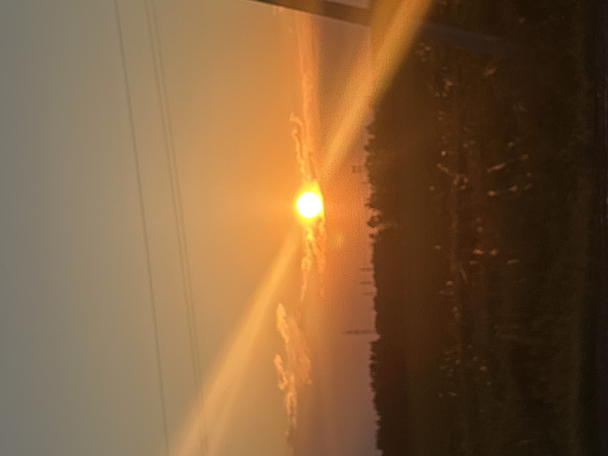 The image displays a vibrant sunset or sunrise over a landscape in Rassvet, Russia. The bright, circular sun is the dominant subject, positioned centrally and casting intense golden-orange light across the sky, accompanied by prominent lens flares. The sky above is a gradient, transitioning from a brilliant orange and yellow near the sun to a softer, desaturated grayish-brown further afield.
Below the sun, a dark, silhouetted horizon line stretches across the lower portion of the frame, likely depicting distant land, trees, or fields, with details obscured by the backlighting and atmospheric conditions. Several thin, dark power lines or utility wires are visible in the upper-left quadrant, cutting diagonally across the sky, suggesting the presence of human infrastructure in the otherwise natural setting.
No specific activity or event is taking place beyond the natural phenomenon of a sunset or sunrise. The time of day is clearly either dusk or dawn, indicated by the sun's position and the dramatic, warm color palette. The weather appears clear, enhancing the sun's glow and lens effects. There are no people visible, nor any discernible text in the image. The scene conveys a sense of peaceful natural beauty.