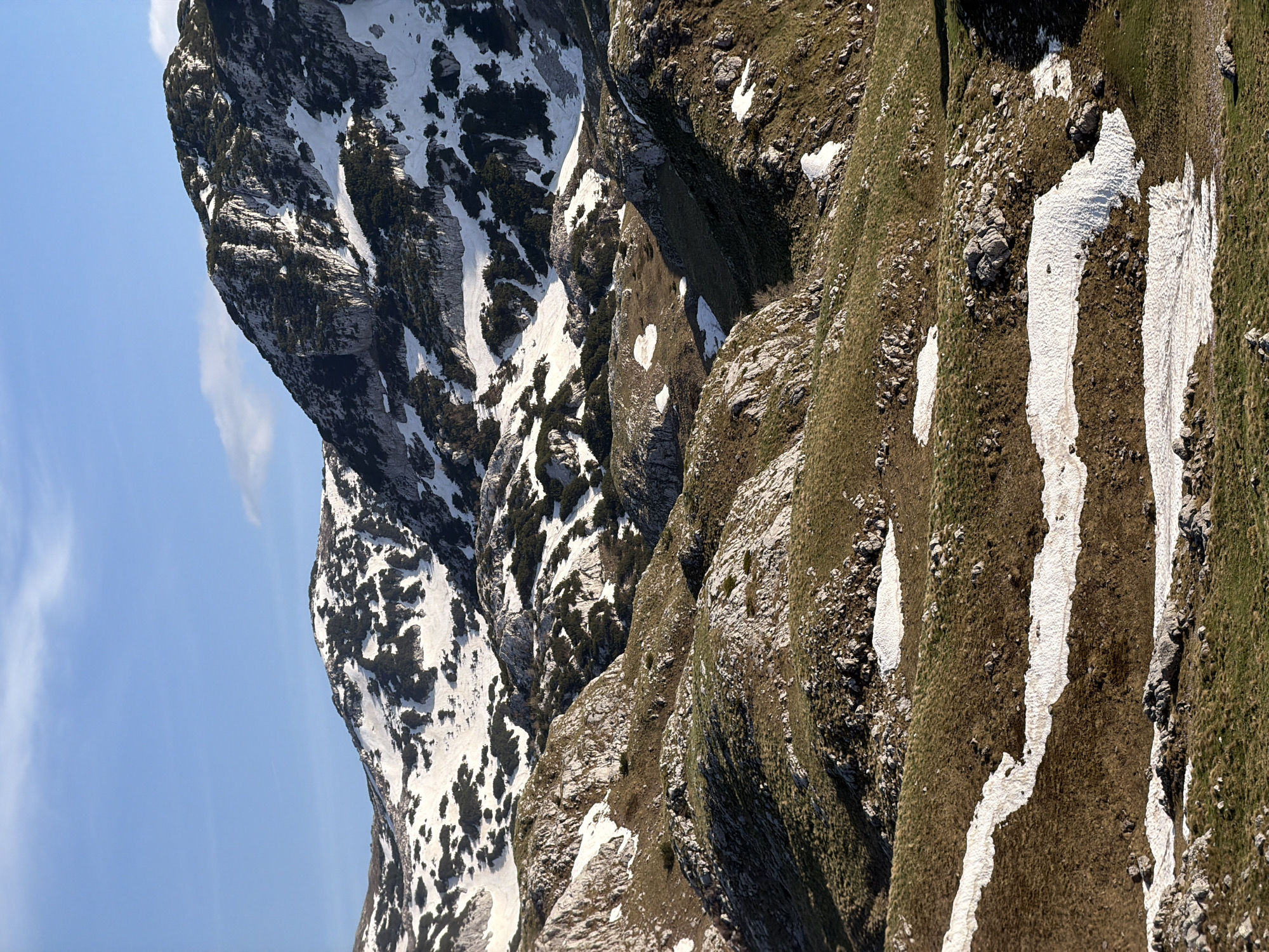 The image depicts a mountain landscape in Boričje, Montenegro. The left side of the image shows a rocky mountain peak, partially covered in snow, under a blue sky with a wisp of cloud. To the right of the peak, there are steep, grassy slopes with patches of snow, leading down towards the foreground. Rocks are scattered throughout the slopes. The image has a strong diagonal composition.