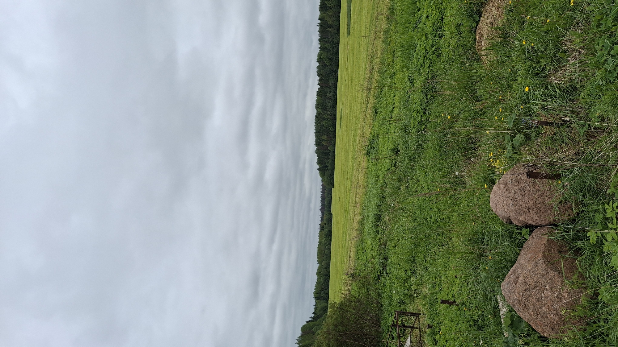 The image depicts a grassy field in Muta-Kiulya, Russia under an overcast sky with striated clouds. A line of trees borders the field. Two large, roughly hewn rocks sit in the foreground amidst overgrown vegetation that includes grass and small yellow flowers. A metal structure or debris is visible in the lower-left portion of the frame, partially obscured by vegetation. There are no people or evident actions in the scene.