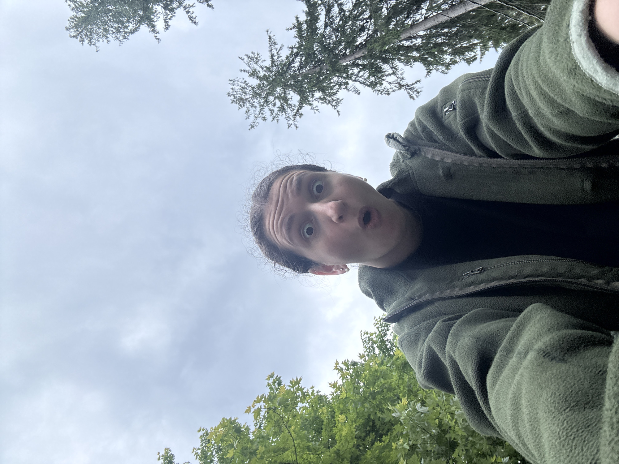 A low-angle, wide shot shows a person from the shoulders up, looking directly into the camera with a surprised expression. They are wearing a dark green zip-up fleece jacket over a black shirt. The background is dominated by a cloudy, overcast sky and surrounded by trees. To the left, vibrant green foliage from deciduous trees is visible, while to the right, the tall, dark green needles of coniferous trees reach upwards. The overall lighting is diffused, suggesting an outdoor setting in a natural environment, possibly a park or forest, on a day with heavy cloud cover.
