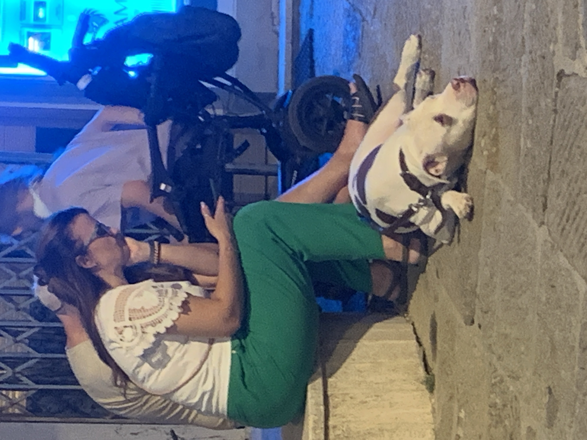 The image depicts a dog lying on a stone ground in what appears to be an outdoor, urban setting. A woman in green pants and a white top is seated to the left, with her arm resting on her lap, and her hand near her mouth. To her left, another person is partially visible. Behind them, a stroller is present, and further back, a fence-like structure is visible. The lighting suggests it is nighttime, with some blue illumination from a background source. The dog, a light-colored breed with a harness, is resting its head on the ground, appearing relaxed or tired. The scene is captured at ground level, focusing on the dog and the people in the immediate vicinity. The context of Contignano, Italy, is provided as the location.