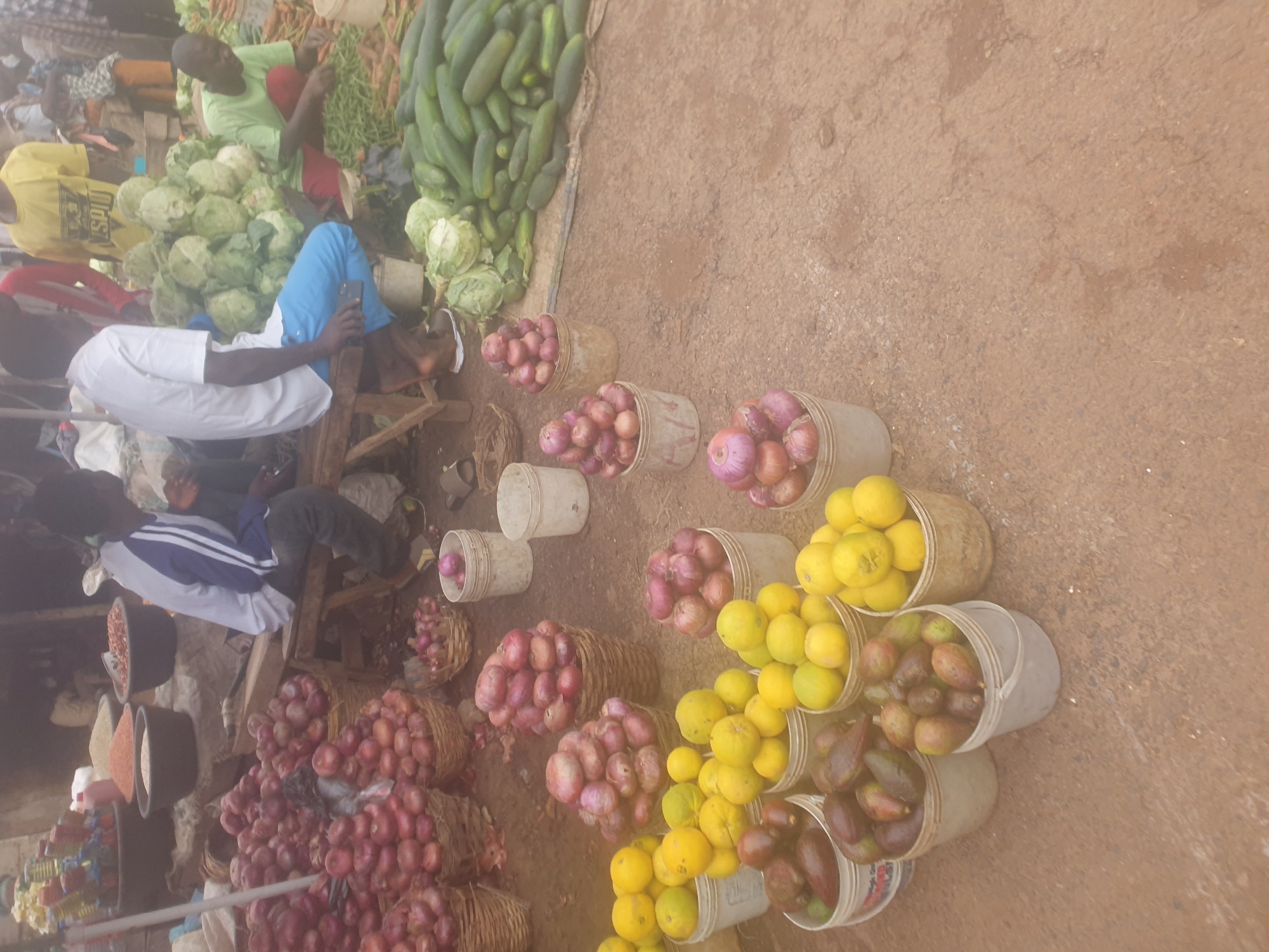 This is a full, eye-level, outdoor, medium shot of a bustling produce market scene in Rafin Pa, Nigeria. The ground is a dusty, reddish-brown dirt. In the foreground, to the left, are several white buckets filled with produce. One bucket contains dark-skinned avocados. Adjacent to it, another bucket is filled with yellow citrus fruits. To the right of these, a bucket holds more yellow citrus, and further right, another bucket is filled with red onions and what appear to be small pink radishes. Two more buckets of red onions are visible to the upper right, one significantly taller than the other.
Behind these foreground elements, large woven baskets are piled high with red onions. In the mid-ground, behind the baskets of onions, a pile of cabbages sits on the ground. Next to the cabbages, a large quantity of green cucumbers is spread out. A person in a light green shirt and red shorts is visible behind the cabbages, reaching towards the cucumbers. To the left and slightly further back, a person wearing a white t-shirt and blue pants is seated on a wooden stool. To their right, another person in a blue and white striped shirt and dark pants is also seated on a wooden stool. In the background, more produce is visible, including what appear to be bags of grain or pulses in large dark bowls.
The overall impression is one of vibrant commerce, with a variety of fresh produce being displayed and sold in an open-air market environment. The lighting suggests it is daytime, with natural light illuminating the scene.