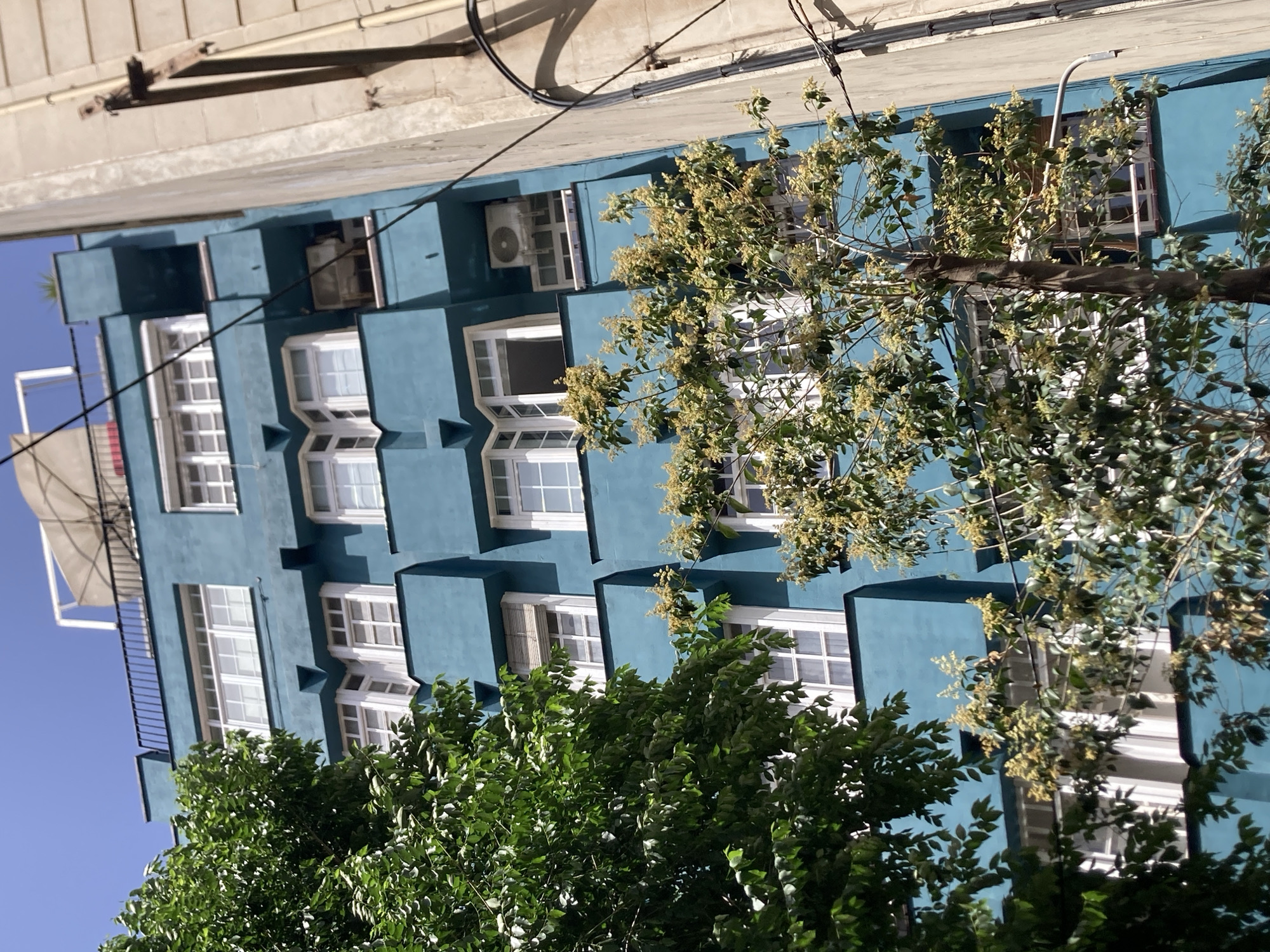 A low-angle, full-frame, outdoor, eye-level shot captures the facade of a turquoise apartment building in Barcelona, Spain, against a clear blue sky. The building features a repeating pattern of protruding sections, each containing a large white-framed window. Several trees with lush green leaves and clusters of small, light-colored flowers are in the foreground, partially obscuring the building. To the right of the turquoise building is a taller, lighter-colored building. Electrical wires and conduits are visible running down the side of the lighter building. The scene is bathed in sunlight, casting sharp shadows.