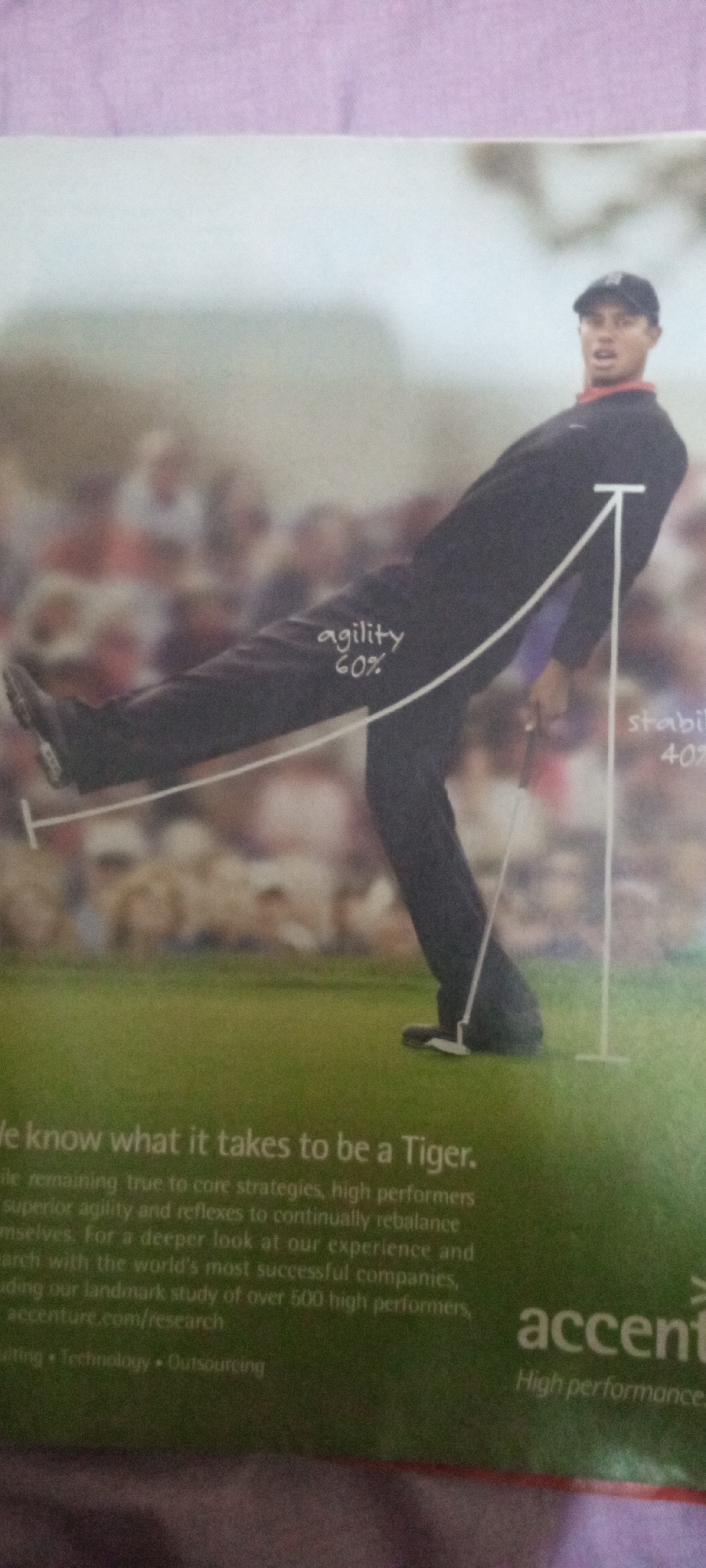 The image displays a man, likely a professional golfer due to his attire and the presence of a golf club, in mid-swing on a golf course. He is wearing a dark golf outfit, including a cap. A white line diagram overlays the image, indicating "agility 60%" and "stability 40%." The background shows a blurred crowd of spectators and a grassy terrain. Text at the bottom of the image reads "We know what it takes to be a Tiger." and mentions "accenture" and "High performance." There is no discernible connection to the city of Jalingo, Nigeria, in this image.