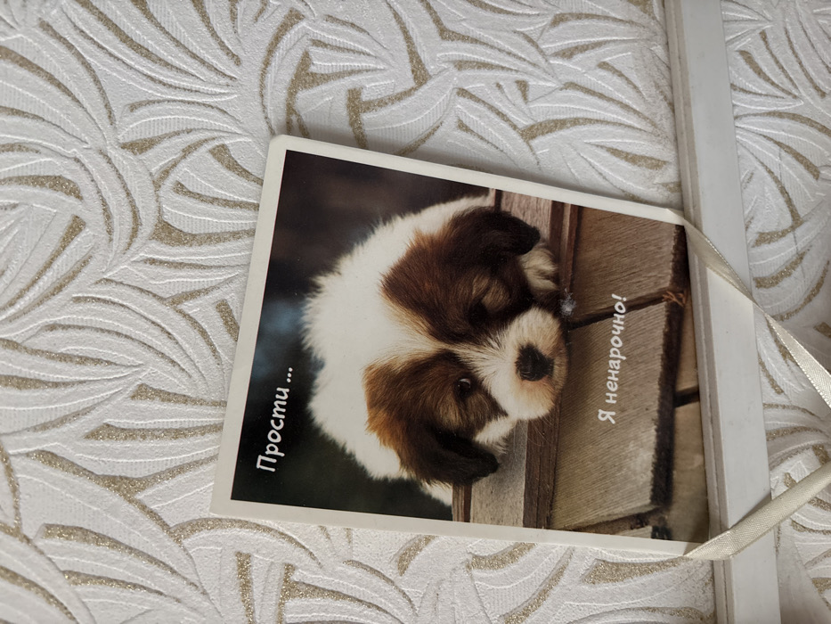 An upright rectangular greeting card featuring a photograph of a small, fluffy puppy is positioned on a white horizontal ledge against a textured wall in an indoor setting in Velikiye Luki, Russia. The puppy, primarily white with distinct brown patches on its head and ears, is depicted resting its chin on a weathered wooden surface, with its eyes partially closed. The card displays Cyrillic text: "Прости ..." (Forgive me...) at the top, and "Я ненарочно!" (I didn't mean to!) at the bottom. A light-colored ribbon, possibly beige, is visible draped over the front of the white ledge, appearing to hold or secure the card. The wall behind the card is covered in off-white or light beige wallpaper with a repeating, raised pattern resembling stylized leaves or feathers, accented with a subtle metallic sheen.