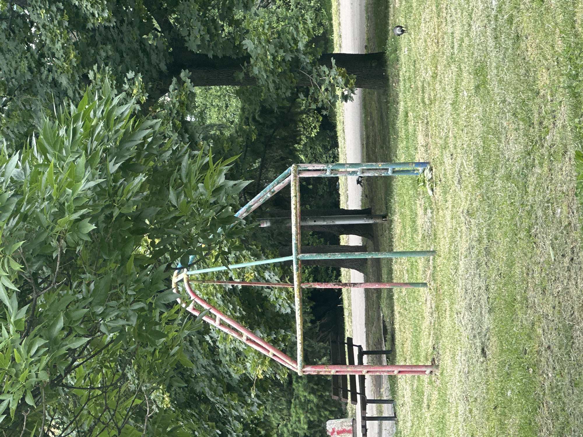 An outdoor scene in a park-like setting in Sofia, Bulgaria, features a weathered, colorful metal frame structure in the foreground, possibly part of a children's play area. The structure has vertical posts painted red and light blue, with a horizontal bar painted yellow and red connecting the top sections. The frame is open at the top and sides, forming a triangular shape. Behind the structure, a wooden park bench with a concrete block is visible to the left, and a paved path runs through the grassy area. Large, leafy trees with dense foliage dominate the background, casting shadows on the ground. The grass is a mix of green and dry patches. Two birds, appearing to be crows, are present in the middle ground, one to the left of the structure and another to the right. The overall impression is one of a somewhat neglected but still functional public space.