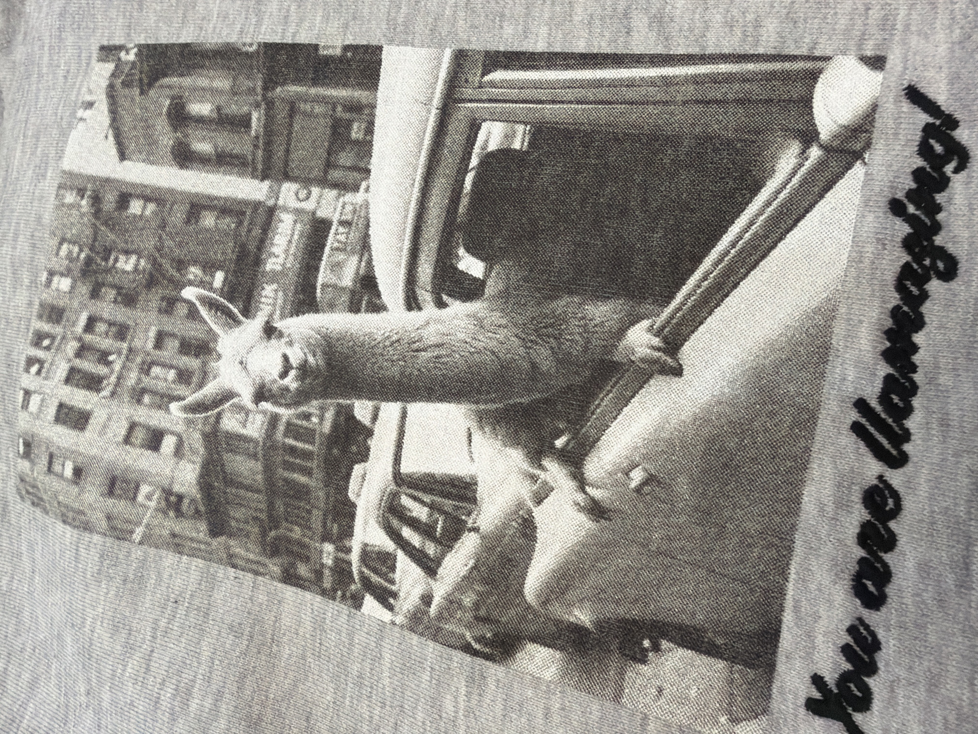 A gray t-shirt depicts a black and white image of a llama protruding from a car window in a city scene. A building is visible in the background, and the phrase "You are Llamazing!" is written vertically on the right side of the image. No information is provided to suggest that the location is in the city of Krasnoyarsk, Russia.