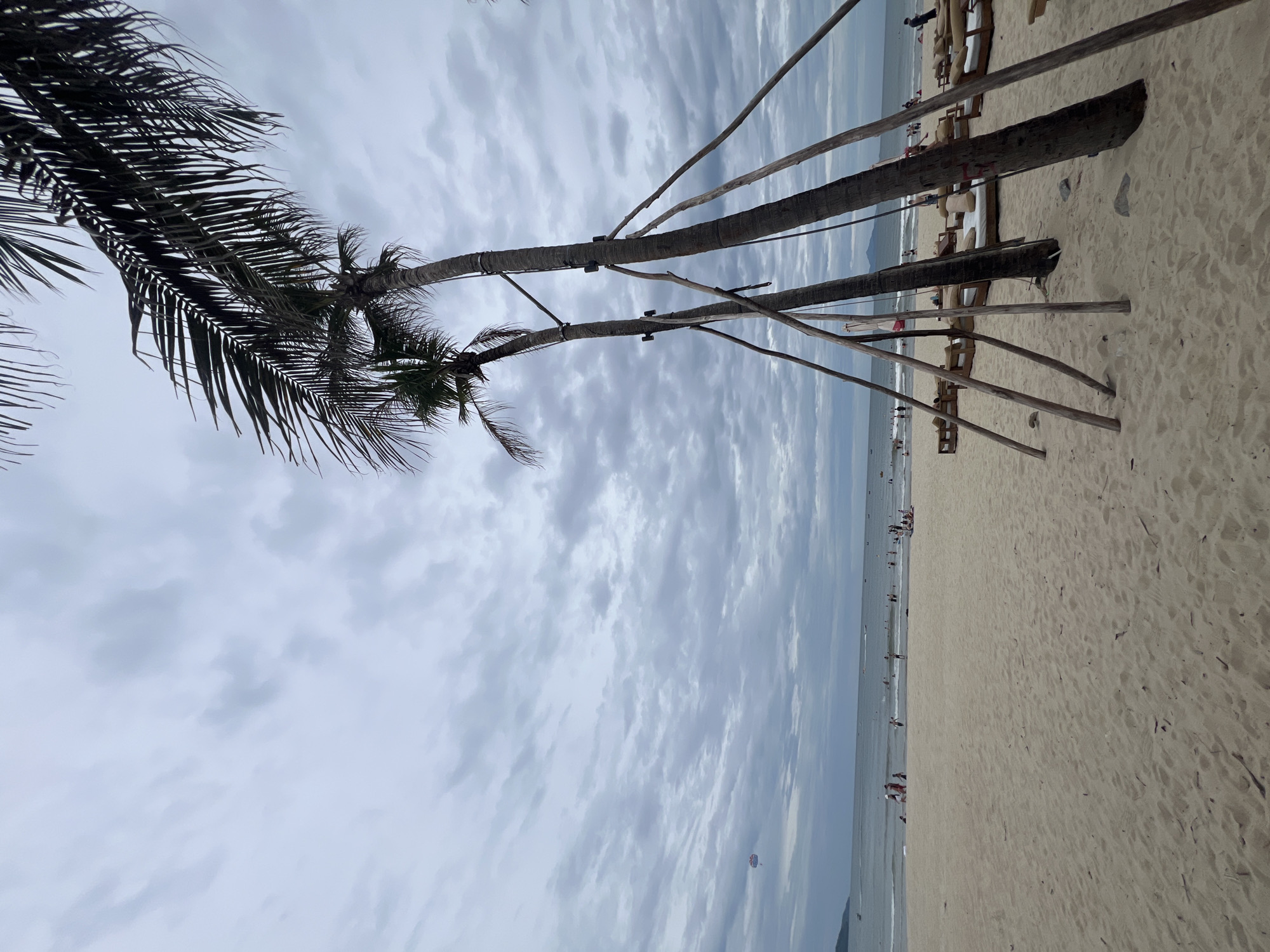 This is a photograph of a beach on a cloudy day. In the foreground, there are palm trees with support structures. The sand is light brown and has some debris scattered on it. Further back, the ocean is visible with waves. There are people on the beach, some of whom are in the water. In the distance, there are boats and a parasail in the sky. The sky is overcast with gray clouds. This appears to be My Khe Beach in Đà Nẵng, Vietnam.