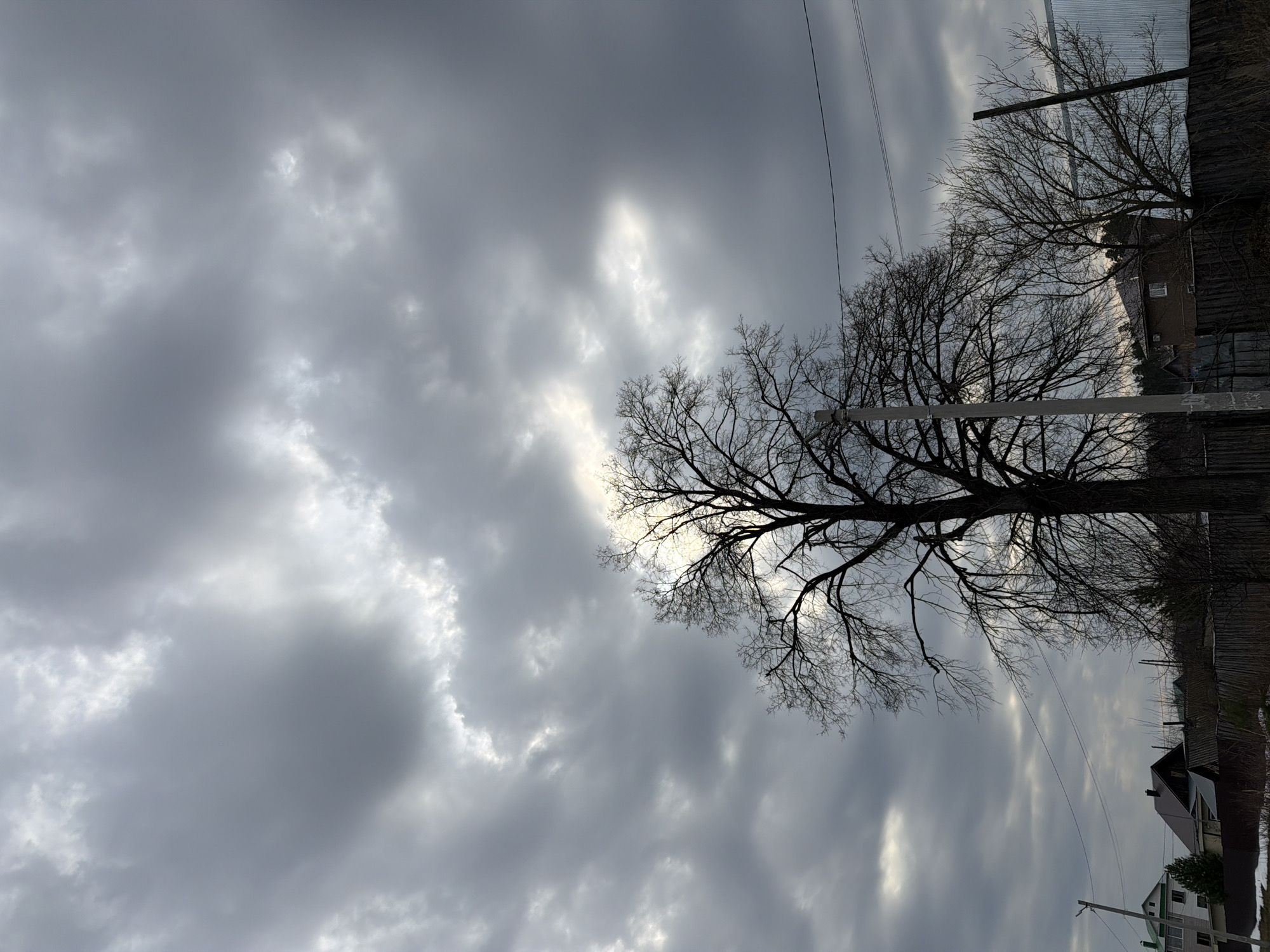 The image depicts a cloudy sky in what is presumed to be the city of Chaikovsky, Russia. Visible through breaks in the cloud cover is diffused sunlight. A leafless tree occupies the center of the frame. In the background, a residential area with houses and a fence is visible, as well as bare trees. Electrical lines are strung above the tree.