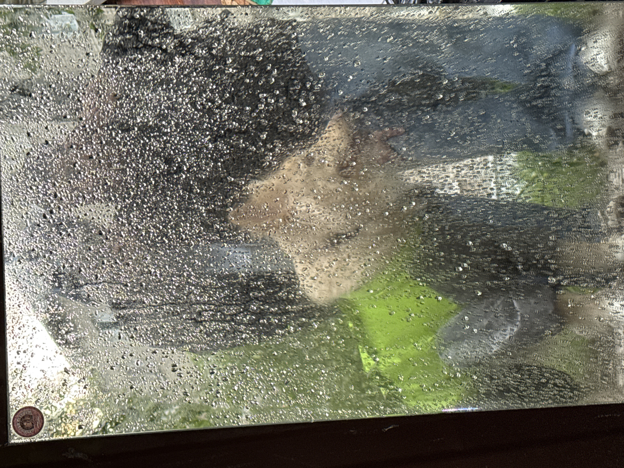 The image presents a heavily obscured view through a glass surface, likely a window, covered in countless small water droplets or dirt particles. Behind this translucent barrier, a person's face is partially visible. The face, appearing light-skinned, shows discernible features like eyes, nose, and mouth, although blurred by the intervening moisture/grime. The person seems to have dark hair or a dark head covering, and a bright green or yellow garment, possibly a high-visibility vest or jacket, is visible over their shoulder and upper body.
Beyond the person and the glass, indistinct shapes and areas of green suggest an outdoor environment, possibly with grass or foliage. The extensive water droplets on the glass indicate rain, recent precipitation, or heavy condensation. The scene is illuminated by natural daylight. In the bottom left corner of the glass, there is a small, circular, reddish emblem or sticker, but its specific details or text are illegible. The image depicts a human presence observed through a highly textured and blurred pane, possibly in Chaikovsky, Russia.