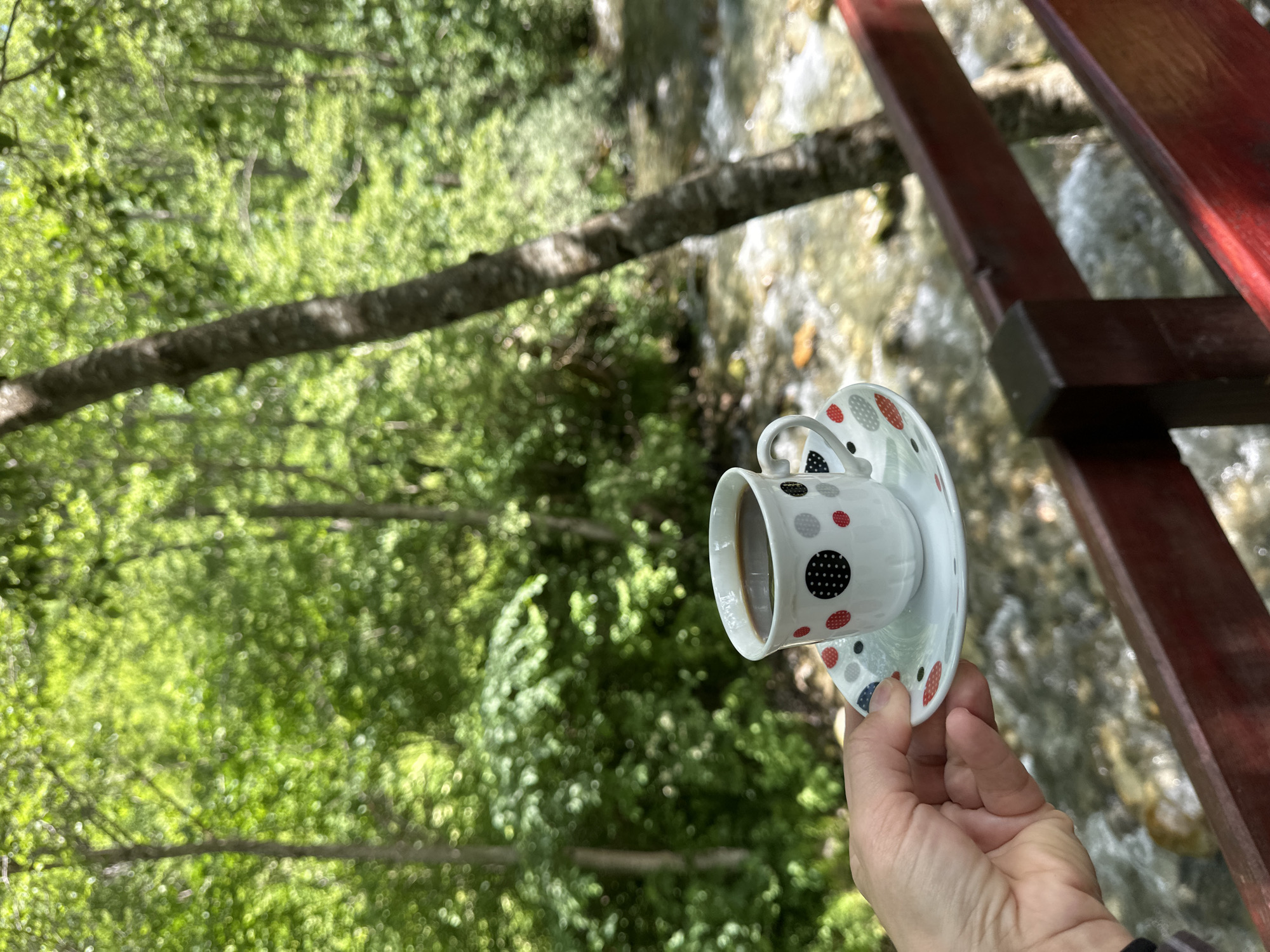 A hand holds a white coffee cup with a saucer, both decorated with a pattern of black, red, and grey polka dots. The cup contains dark coffee. In the background, a natural scene unfolds with lush green trees and foliage, suggesting a forest or wooded area. A body of water, possibly a stream or river, flows through the scene, with visible rocks and ripples. A wooden railing, painted red, runs horizontally across the lower part of the image, in front of the water. The overall impression is one of a peaceful moment in nature, potentially enjoyed from a scenic vantage point. The location appears to be in the vicinity of the Bare Kraljske region of Montenegro, known for its natural beauty.