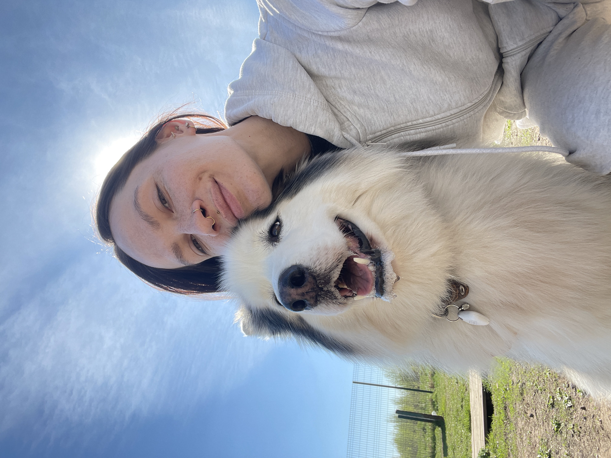 A person and a white and black Husky-type dog are outdoors. The person is wearing a light grey hoodie and has dark hair. The dog is wearing a collar with a tag. The background includes a blue sky with wispy clouds, and a grassy area with a fence in the distance. This image was likely taken in Светлое, Russia.