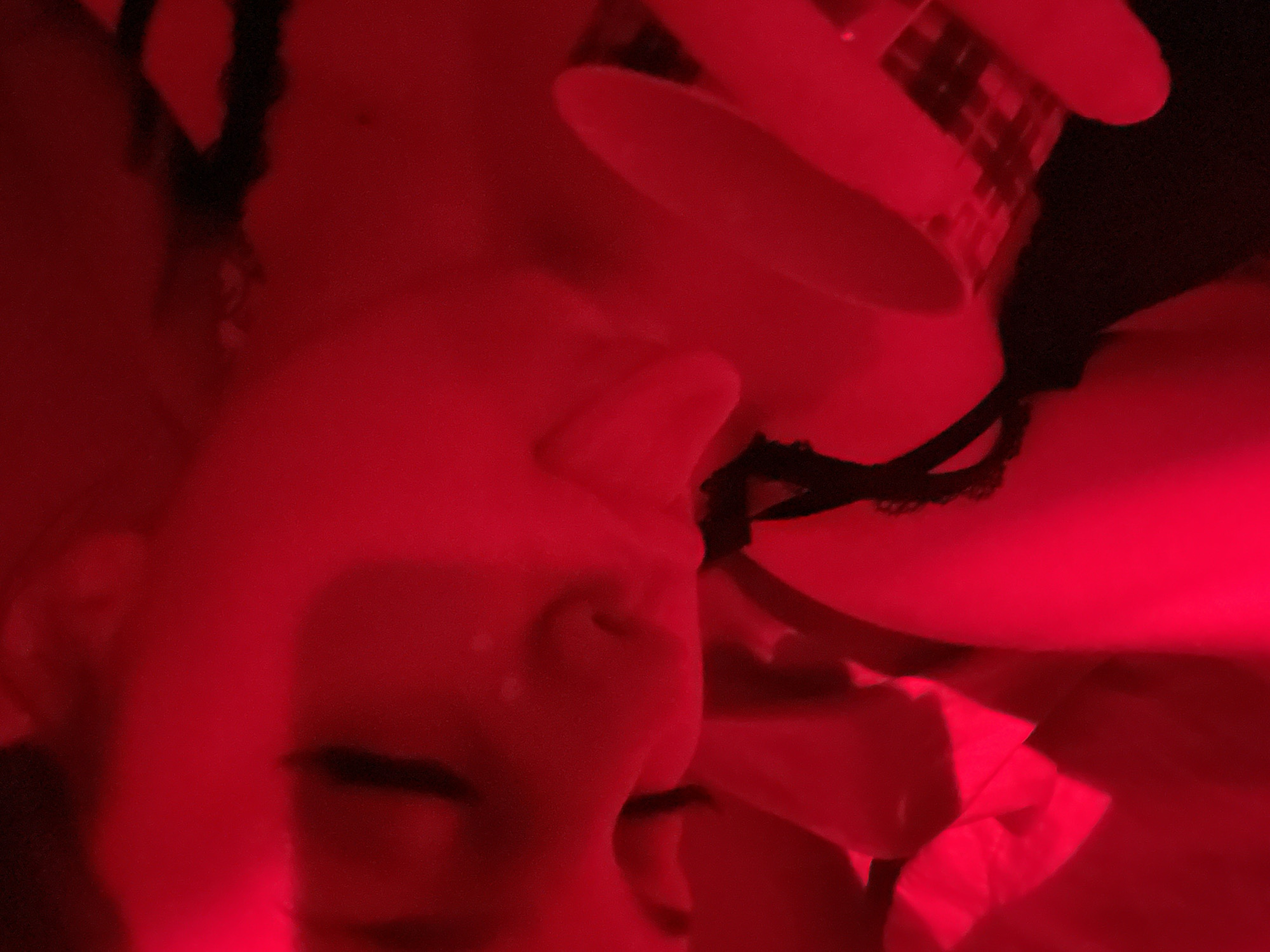 The image depicts a close-up, intimately lit scene of a person in an indoor setting, bathed in a strong red light. The primary subject is an individual, likely female, whose head is tilted back, with eyes appearing closed or downcast and mouth slightly open. Their profile is visible, suggesting a moment of relaxation or contemplation.
The person is wearing dark, possibly lace, intimate apparel or undergarments, visible around the neck/chest area and near another body part. A white disposable cup with a distinct dark plaid or checkered pattern is held near their mouth, suggesting they are either drinking from it or are about to. One hand or arm is partially visible, also illuminated by the red light.
Further details in the crops reveal more about the scene. One crop highlights the intricate lace detail of the clothing. Another focuses on the patterned cup, confirming its checkered design. Additional crops show parts of the person's body and a crumpled white object, possibly tissue or fabric, against the red-lit background.
The lighting creates a deep, crimson atmosphere, casting significant shadows and giving the image a mysterious and sensual tone. There are no clear location cues beyond it being an indoor space, and the time of day is indeterminate due to the artificial lighting. No discernible text is visible on the cup or elsewhere in the image, only the plaid pattern. The overall activity centers around the act of drinking and a moment of personal, possibly private, indulgence.