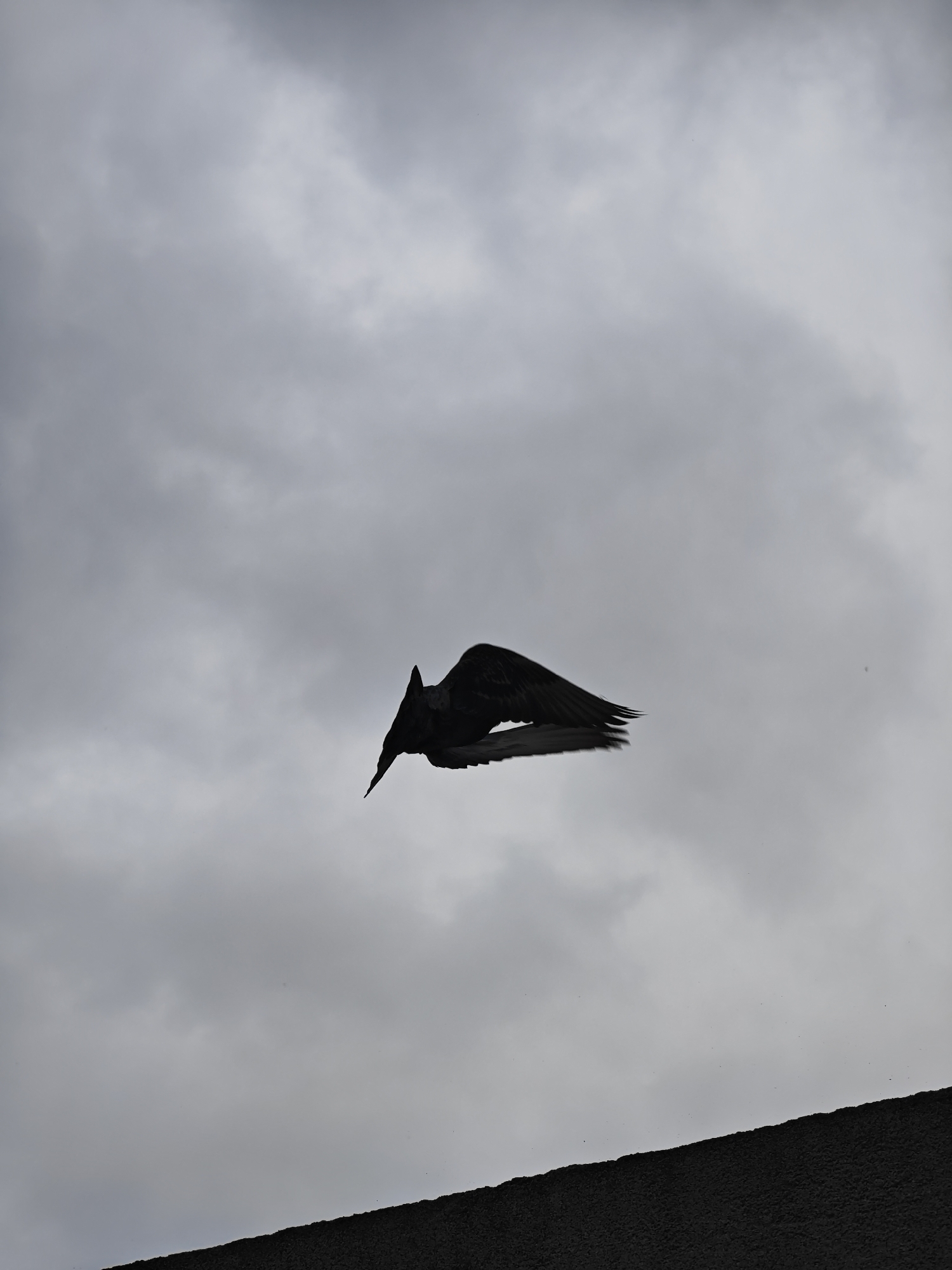 The image depicts a bird in flight against a cloudy sky. The bird, silhouetted and dark, is positioned in the upper-middle section of the frame. Its wings are outstretched. Below the bird is the dark silhouette of a structure, possibly a rooftop or building, cutting across the lower portion of the image. The sky is overcast with grey clouds, creating a monochrome effect. The location appears to be in an urban area, as indicated by the presence of a structure, but the specific city is unknown.
