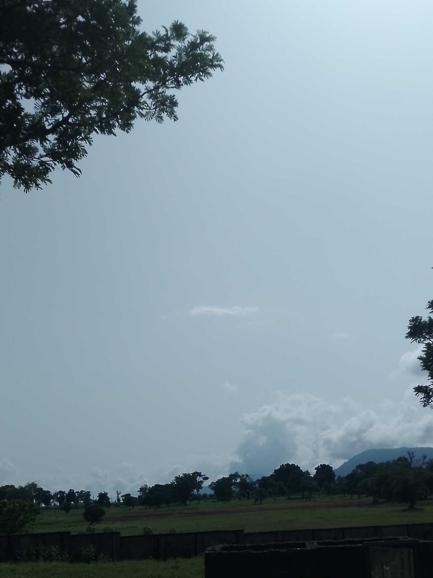The image depicts a rural landscape under a hazy sky. In the foreground, dark, silhouetted trees frame the top left and right corners of the image. Below the sky, a line of trees forms a dense border across the middle ground, with some appearing as distinct shapes and others blending into a dark mass. Behind this tree line, a gentle slope leads up to a distant mountain range, partially obscured by clouds. The ground in the middle distance is a patchwork of green fields, possibly farmland, with some darker areas suggesting cultivation. A low, dark wall or fence runs horizontally across the lower portion of the image, separating the fields from a darker, foreground area that includes some low-lying vegetation and what appears to be a dark, rectangular structure or object. The overall impression is one of a serene, somewhat overcast day in a natural, undeveloped area. This scene is consistent with the landscape found in and around Serti, Nigeria, which is characterized by its rural setting, vegetation, and undulating terrain.