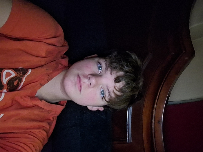 A young individual is depicted in a chest-up, frontal portrait. The subject has fair skin, blue eyes, and short, dark brown, wavy hair with bangs, and maintains a neutral expression while looking directly at the camera. They are wearing an orange hooded sweatshirt with a partially visible graphic design on the chest in white and dark tones. Dark smudges are visible on the left shoulder and chest area of the sweatshirt. The background is dark and out of focus, featuring a dark, polished wooden object, possibly a piece of furniture such as a headboard, with a curved upper edge, positioned behind and above the individual. A small section of dark red material is visible in the upper right background. The environment is an interior space. The image contains no visual elements to identify a specific location within the city of Hamilton, Canada.