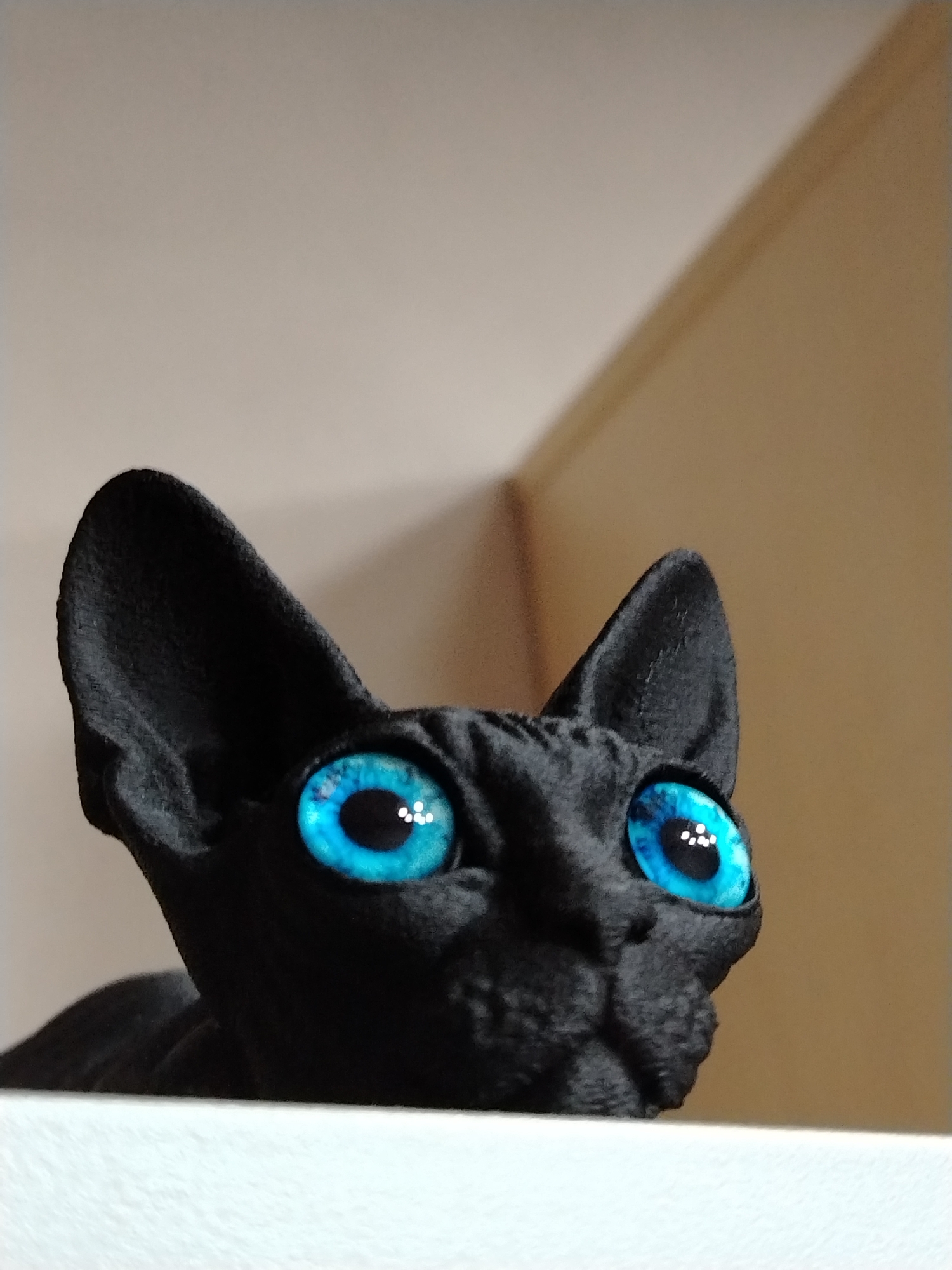 This close-up, low-angle photograph features the head and upper body of a black Sphynx cat-like figure, possibly a plush toy or statue. The figure has very large, luminous blue eyes with prominent white reflections, giving it a striking and intense gaze directed upwards and slightly to the right. Its textured, dark surface contrasts sharply with the bright eyes. The figure is positioned behind a clean, white, slightly textured surface that occupies the bottom of the frame, possibly a shelf or table edge.
The background consists of plain interior walls; the upper left portion is a light beige or off-white, while the upper right transitions into a warmer, light brown or tan, indicating an inner corner of a room. No specific activity is depicted beyond the presentation of the object. The overall setting is indoors, likely in a home or display area in Izhevsk, Russia. The lighting appears soft and indirect. There is no visible text in the image.