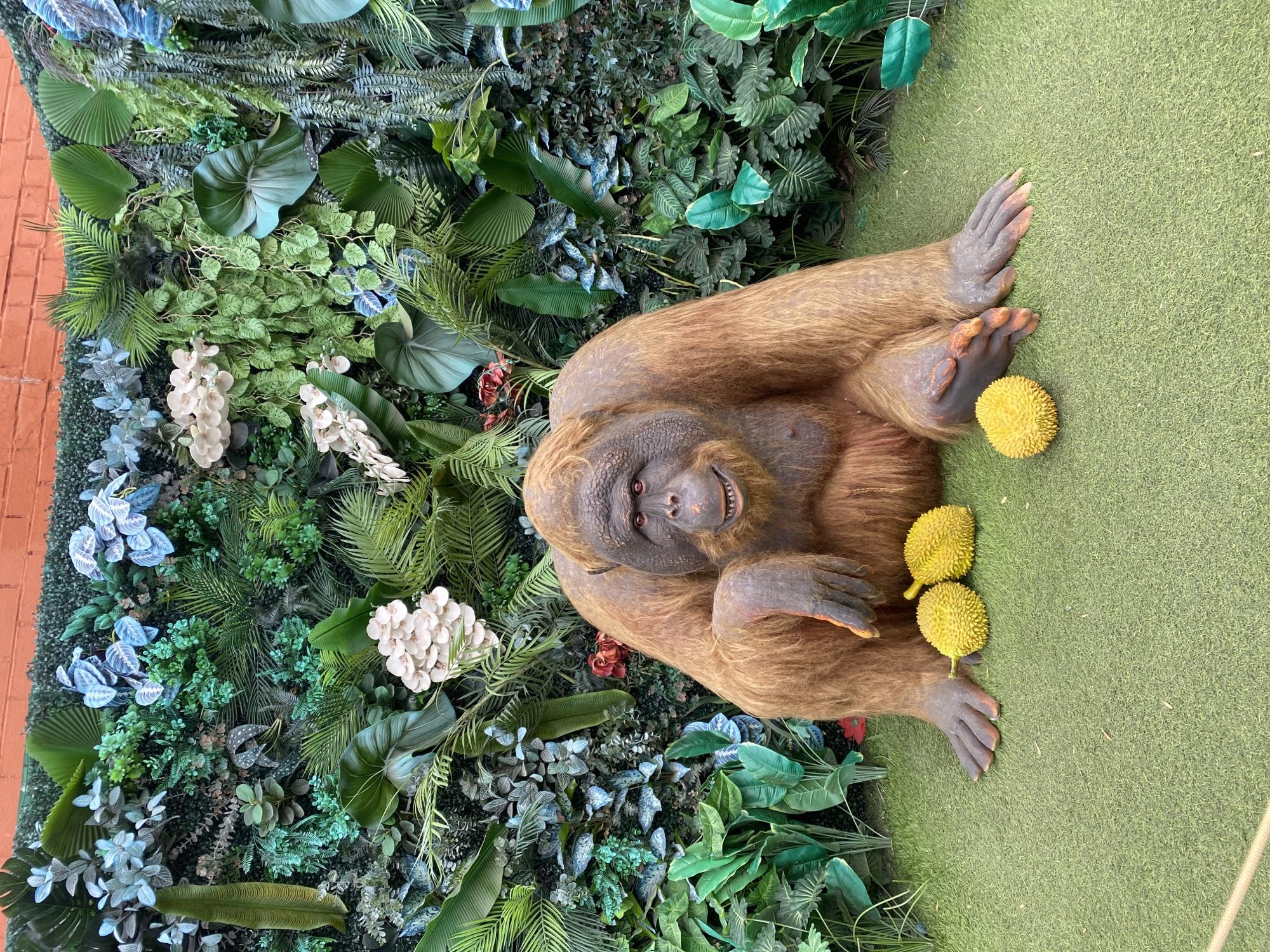 A ground-level, eye-level shot depicts a life-size statue of an orangutan resting on a faux grass surface, with an elaborate backdrop of artificial foliage. The orangutan is positioned centrally in the frame, facing upwards toward the camera, giving the impression that the viewer is looking down upon it. The orangutan is seated, its legs outstretched, and two yellow, textured spheres, resembling durian fruits, are placed next to its feet. Its hands rest gently on the ground.
The backdrop is a dense arrangement of artificial plants and flowers, including a variety of green leaves, ferns, and white orchid-like blossoms. The foliage extends upwards and to the left side of the frame, creating a lush, jungle-like setting.
Based on metadata, the location is identified as Yekaterinburg, Russia.