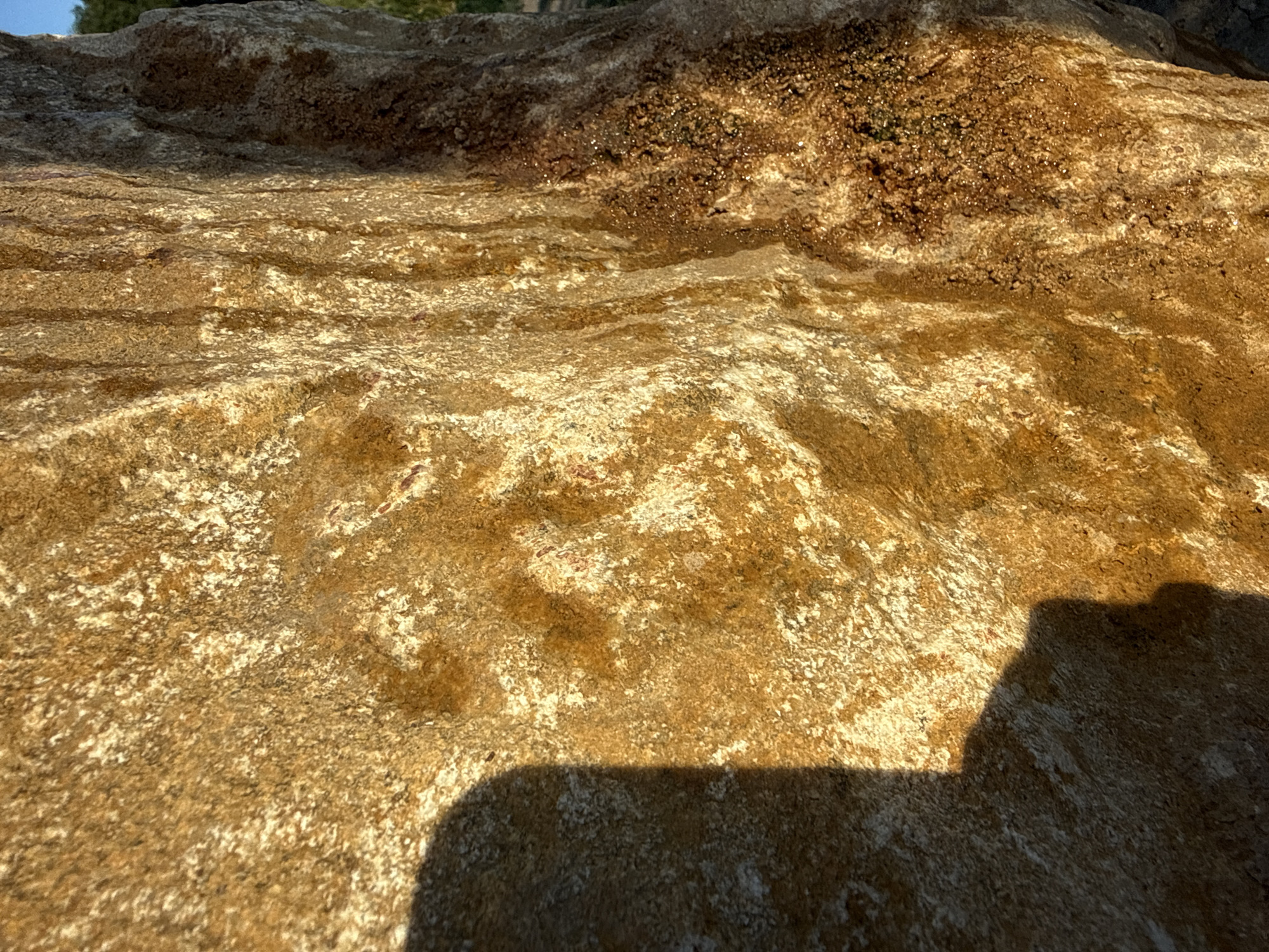 The image shows a close-up of a weathered, rough-textured rock with a prominent shadow cast on its left side. The rock has a yellowish-brown color with lighter and darker patches, suggesting mineral deposits or variations in its composition. The texture is uneven, with visible pits and ridges, and some areas appear to have a slightly crystalline or granular surface. The light source is from the right, illuminating the rock's surface and highlighting its contours. The shadow on the left is dark and somewhat rounded, hinting at a curved object or person casting it. The background, visible on the far right, is out of focus and appears to be greenery, suggesting an outdoor setting. The image does not contain any elements that definitively place it in Varna, Bulgaria.