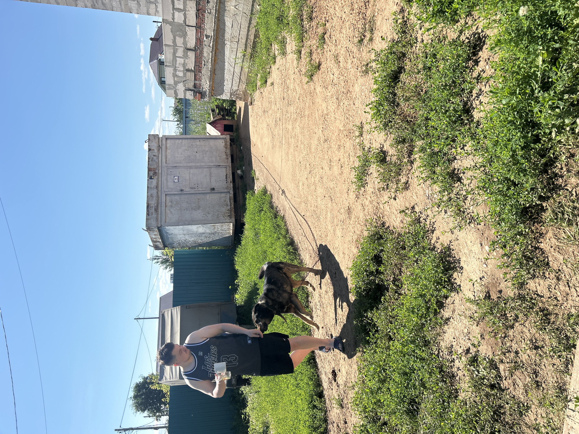 In Petrovka, Russia, under a clear blue sky, a man wearing a black Los Angeles Lakers basketball jersey and black shorts walks on a dirt path. He holds a clear cup in his left hand. A medium-sized dog on a leash playfully nips at his right hand. The dog is primarily brown with some black markings. Green grass lines the path, and in the background, there are several structures, including a large grey metal container, a smaller red dog house, and a partially constructed brick building. A green fence runs along the left side of the image.