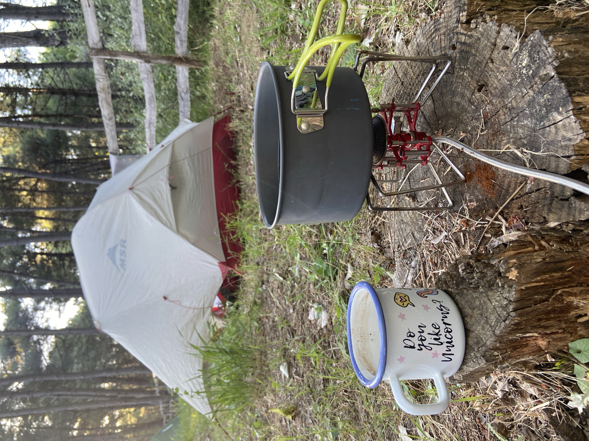 The image depicts a campsite, featuring a white MSR tent with red trim pitched in a grassy area, beside a wooden fence. A gray camping pot with lime green handles is positioned on a red and silver camping stove, set atop a weathered tree stump. Beside the stump sits a white enamel mug with a blue rim, adorned with cartoon unicorns and the words "Do you like Unicorns?". The location appears to be wooded and rural.