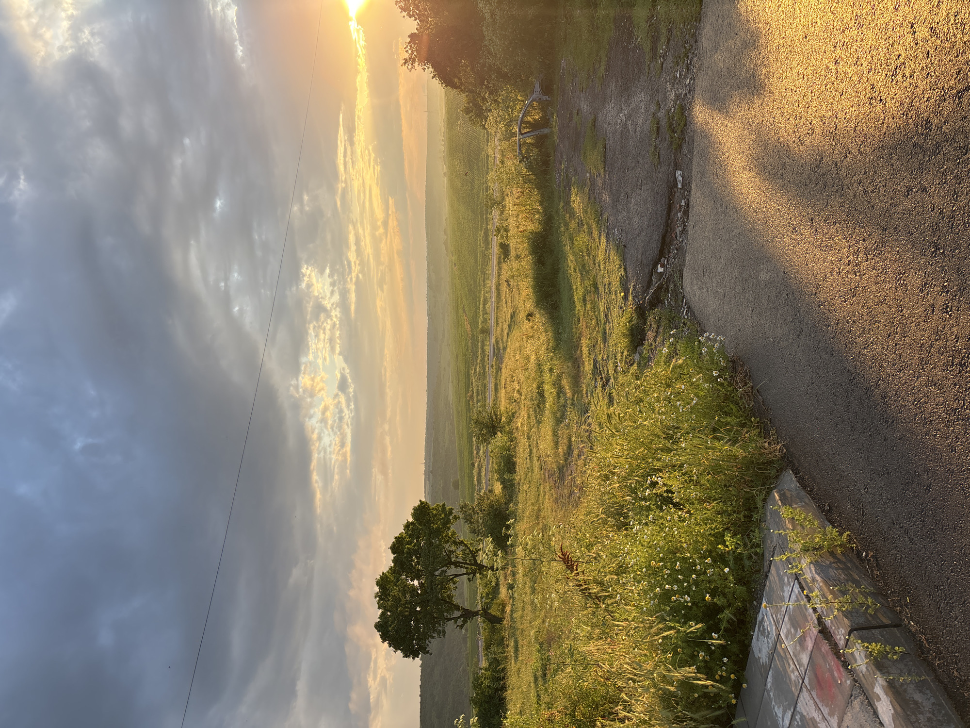 This media file captures a serene rural landscape, likely at sunrise or sunset, characterized by warm, golden light emanating from a low sun. The scene is set in Simeonovgrad, Bulgaria, depicting an expansive open field, a paved path, and a partially cloudy sky.
The sun, a brilliant golden orb, is positioned in the upper right quadrant, casting long, dramatic shadows across the foreground and illuminating the entire vista with a radiant glow. The sky transitions from bright, sunlit clouds on the right to darker, grayish clouds on the left, with a thin power line stretching across it.
In the immediate foreground, an asphalt road or path curves gently from the bottom right towards the center, displaying a coarse, pebbled texture and some cracks. Alongside this path, a low concrete barrier or curb is visible, bearing faint, abstract paint marks that appear to be faded graffiti. Lush green grass and an abundance of small, white daisy-like wildflowers thrive in the areas adjacent to the road and barrier.
Beyond the foreground, a vast field stretches into the distance, covered in various shades of green foliage and tall grasses, all bathed in the rich, warm light. Two prominent, leafy trees with dark green canopies stand out in the middle ground. Further back, near the edge of the field, a dark, partially rusted metal structure, possibly the frame of an old bench or gate, can be discerned. The field gently slopes towards a distant, hazy horizon, suggesting rolling hills or a valley. No human activity or visible text other than the abstract marks on the barrier is apparent, contributing to the tranquil and natural ambiance of the scene.