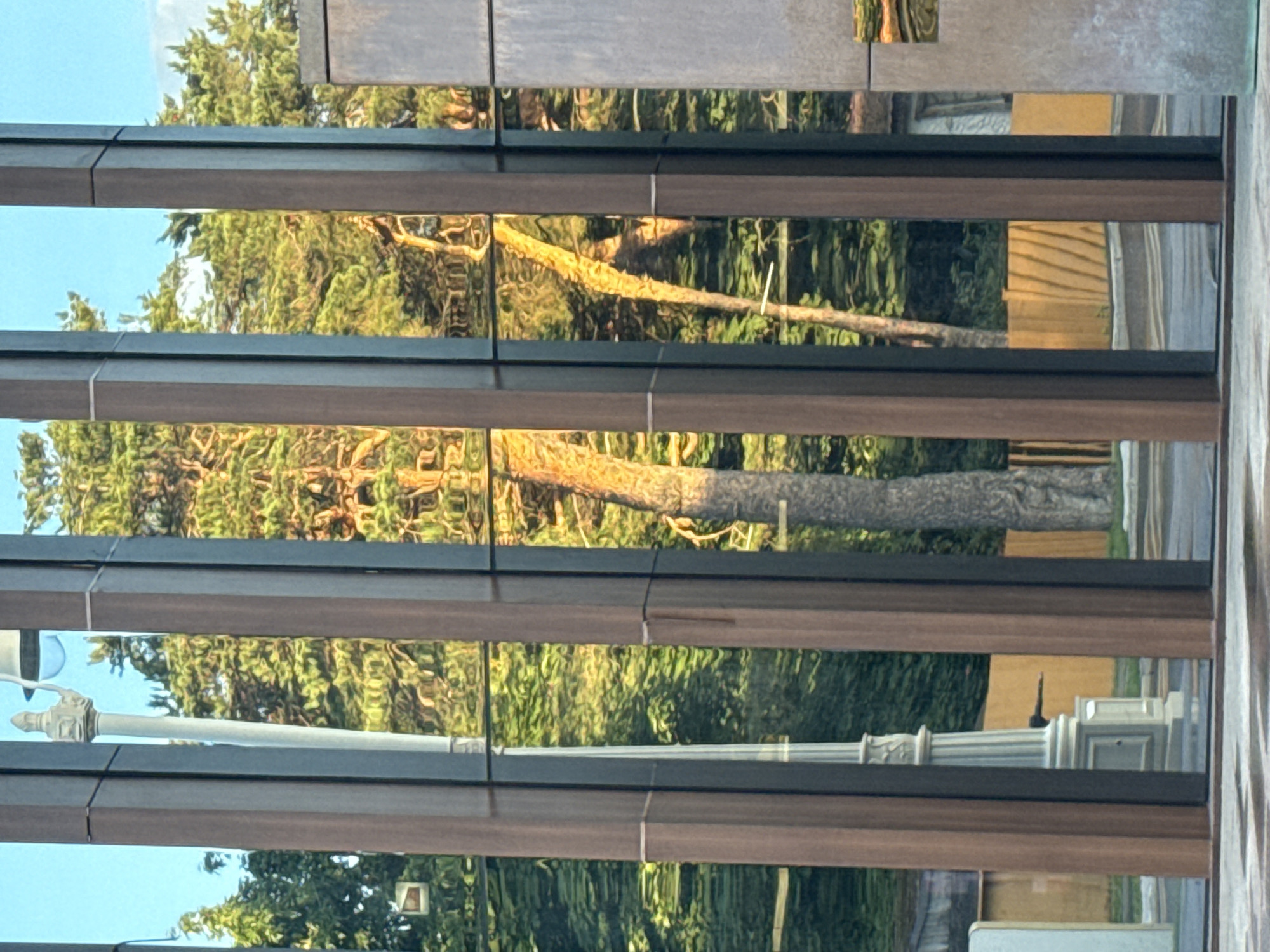 This media file captures a reflection on a modern building's facade, featuring horizontal wooden beams and reflective glass panels. The reflections show a vibrant, sun-drenched scene of trees, branches, and a light pole. The light pole, with intricate decorative elements, appears to be a streetlamp. The sunlight casts warm golden hues on the tree branches, suggesting it is either early morning or late afternoon. The sky in the reflections is a clear, bright blue, indicating fair weather. The overall scene evokes a sense of urban nature, with the man-made structure interacting with the natural environment. The reflections are slightly distorted, indicating the curved or multi-faceted nature of the glass. There is no visible text in the media file. The location context of Moscow, Russia, does not provide specific visual cues within the image itself, but suggests an urban setting within that geographical area.