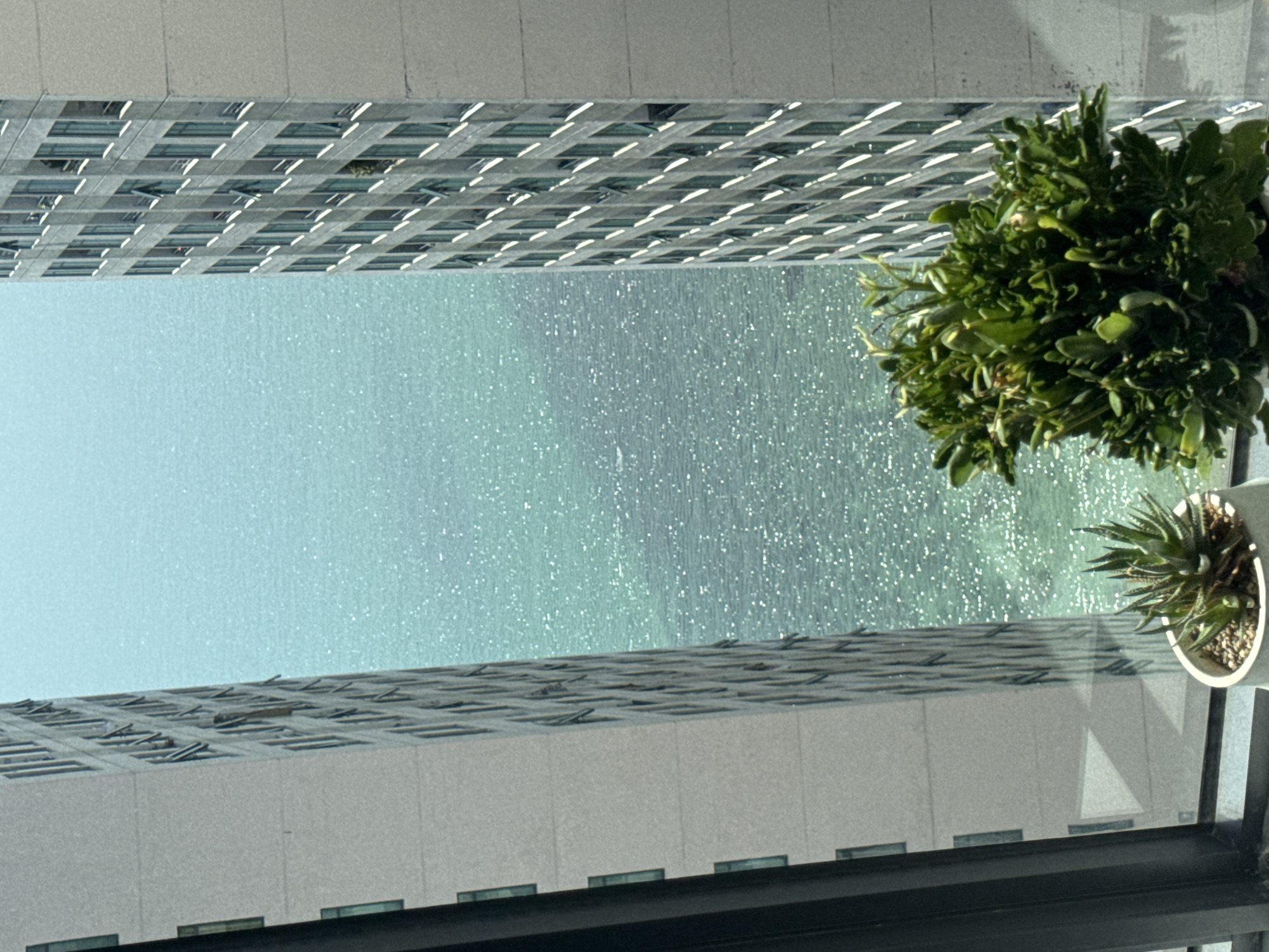 The image shows a view of the ocean between two tall, modern buildings, likely located in the city of Nha Trang, Vietnam. The ocean is a bright, shimmering turquoise color, reflecting the sunlight. The buildings, with their repetitive window patterns, suggest a developed urban coastal environment. In the foreground, two potted succulent plants are visible on a windowsill, one a spiky aloe-like variety and the other a bushier, leafier succulent. The scene captures a moment of urban living with a prominent natural backdrop.