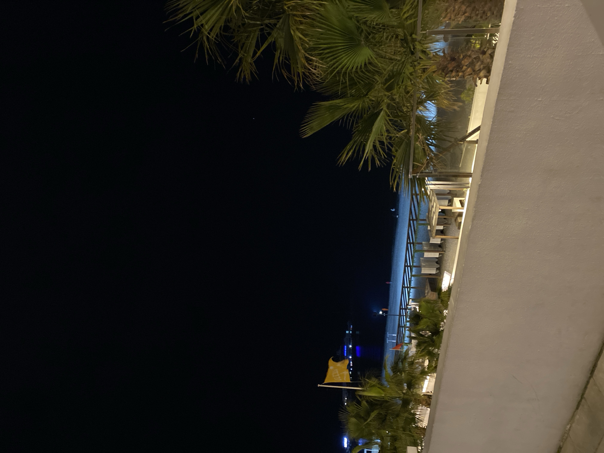 The image captures a tranquil night scene, viewed from an elevated perspective overlooking a coastal area. The time of day is clearly night, indicated by the very dark sky, save for a single tiny bright dot in the upper left.
In the immediate foreground, to the right, a textured white wall runs vertically, defining the vantage point. A clear glass and metal railing extends along the edge of this wall, separating the viewer from the scene below. Lush green palm fronds frame the top and bottom right portions of the image, contributing to a tropical setting.
Beyond the railing, a dimly lit beach or promenade stretches across the mid-ground. Artificial lights illuminate parts of this area, revealing rows of what appear to be sun loungers or chairs lined up. On the left side of this beachfront, a yellow flag, possibly made of fabric, is visible on a pole. Faint, dark text is visible on the flag, appearing to spell "LIFEGUARD" along with other unreadable characters or a logo below it.
The background consists of a vast, dark expanse of water, likely the sea or ocean, with several faint, distant lights scattered across the horizon, suggesting boats or a faraway shoreline. The overall atmosphere is peaceful and serene, hinting at a resort or leisure location. No people are visible, and no specific activity is taking place.