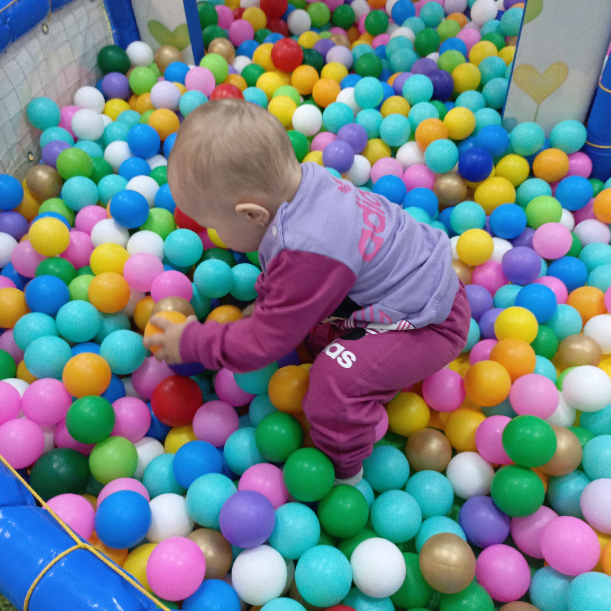 A baby or toddler is captured playing in a vibrant ball pit, seen from a slightly elevated perspective looking down into the colorful array. The child is positioned on their knees or squatting, with their back mostly to the viewer, and fair hair visible at the back of their head. They are wearing a light purple long-sleeved top with pink text or a logo on the back, where "adidas" is partially legible. Their pants are a darker magenta or purple, also featuring a white text or logo, with "as" visible on the leg.
The ball pit is densely filled with numerous plastic balls of various colors, including pink, purple, blue, green, yellow, orange, white, and a few metallic gold or bronze ones. The child's right hand is extended into the balls, appearing to interact with them or pick one up.
The setting is clearly an indoor children's play area. A blue inflatable or padded barrier defines the edge of the ball pit in the foreground and to the left. In the background, a white mesh net and a light-colored wall panel adorned with a yellow heart-shaped graphic provide further context to the play environment. The lighting is uniform, suggesting an indoor space. No specific time of day or weather can be determined.