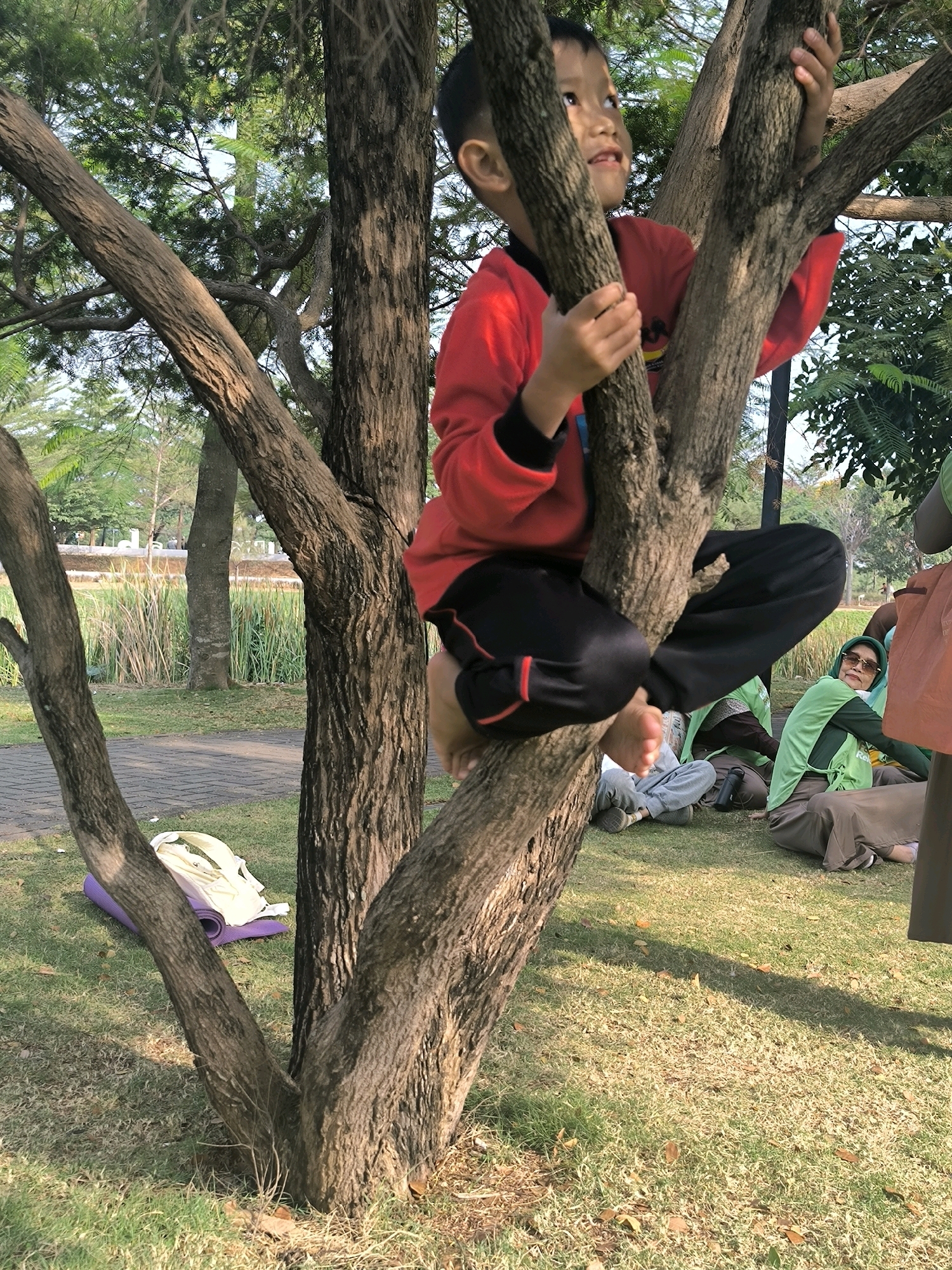 The image depicts a child in a red shirt and black pants climbing a tree in an outdoor park. The child is positioned in the center of the frame, with their hands gripping the tree's branches. In the background, several adults are seated on the grass, some wearing green shirts and headscarves. A backpack and a purple mat are visible on the grass to the left of the tree. The environment appears to be a grassy park with trees and foliage, suggesting a recreational area. The scene suggests a leisurely activity in a public outdoor space, possibly a park or garden. It is not possible to identify the location as specifically being in the city of Bandung City, Indonesia from the visual information present in the image.