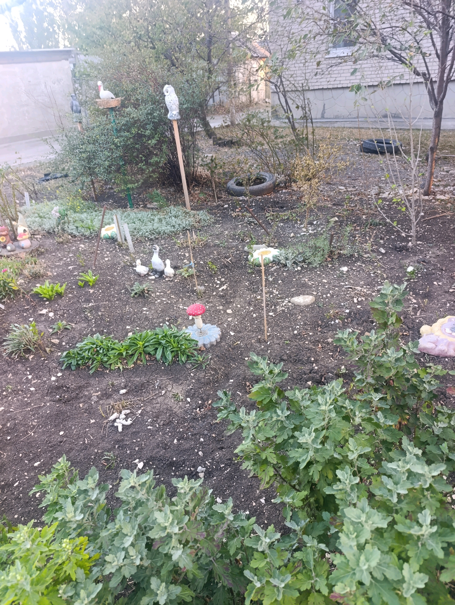 A close-up, eye-level, full shot shows a dirt garden patch decorated with small, ceramic garden figures. The garden is located in front of a brick building, possibly a home or apartment complex. Several small, green plants are growing in the dirt. In the foreground, a cluster of green bushes with small buds are visible. In the middle ground, several garden decorations are scattered throughout the patch, including two gnomes, a cluster of three ducks, and a mushroom-shaped decoration. In the background, there are more green bushes and a tire. The scene is bathed in natural light, suggesting it is daytime. The overall impression is that of a modestly decorated garden.