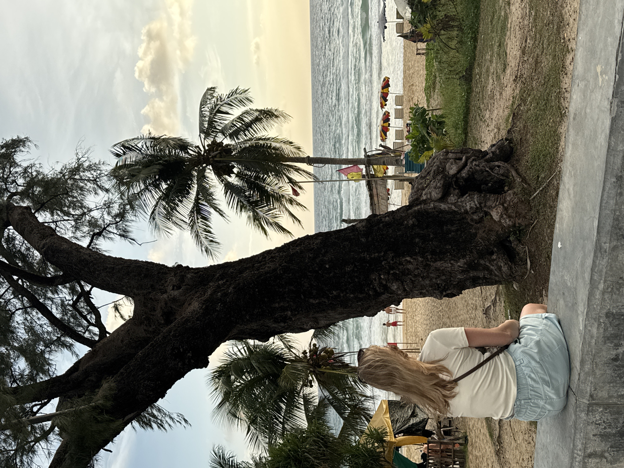 In Karon, Thailand, a woman with blonde hair sits on a concrete wall facing away from the camera, looking out at Karon Beach. She is wearing a white t-shirt and light blue shorts. Behind her, a large, dark-barked tree dominates the foreground. The beach is visible beyond the tree, with several palm trees, beach umbrellas, and lounge chairs set up on the sand. The ocean waves are gently rolling onto the shore under a cloudy sky with hints of sunset colors. Two men in red and white shorts are standing near the water's edge. The scene captures a tranquil moment on a tropical beach.