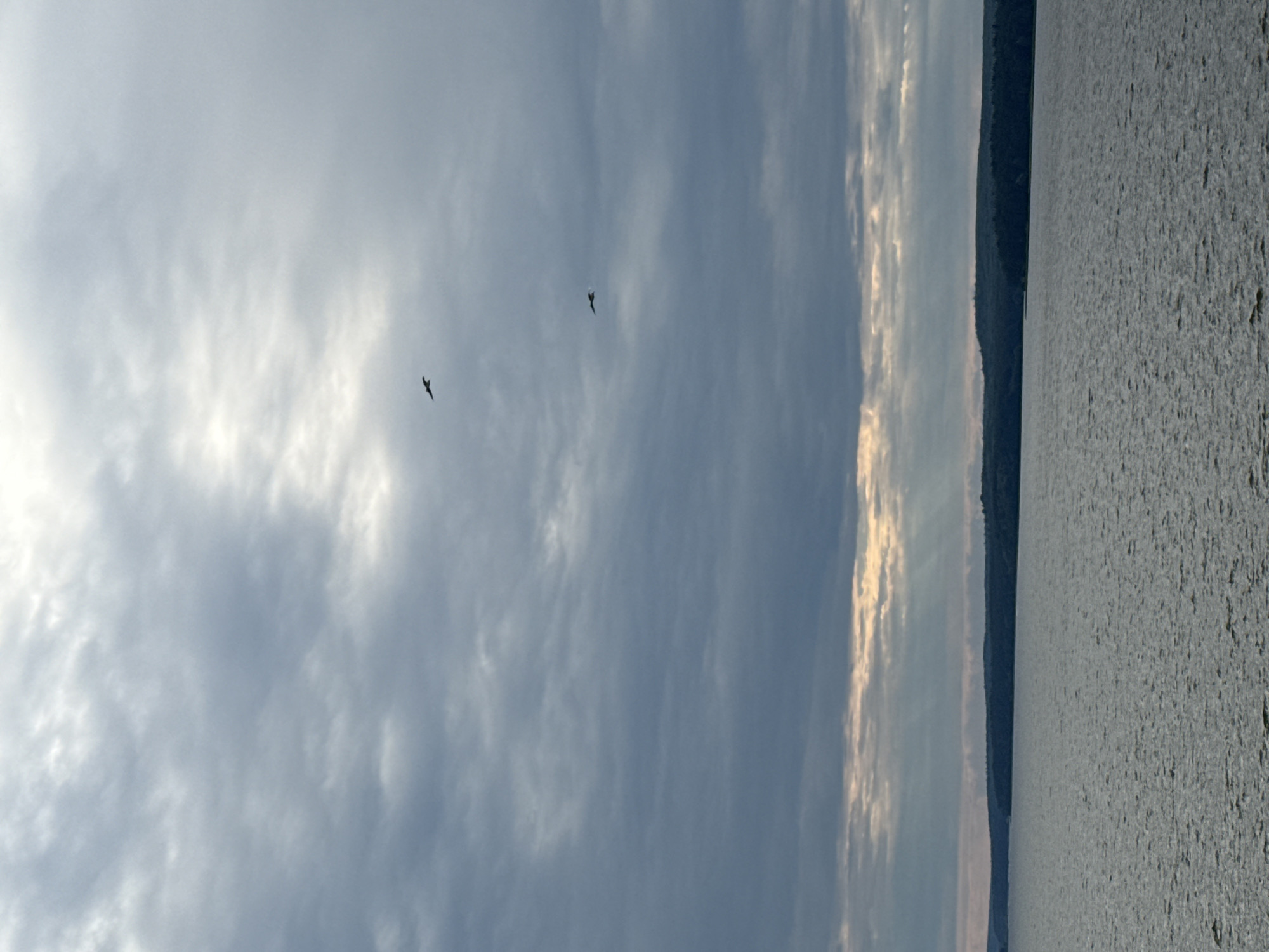 The image depicts a serene natural landscape, likely a body of water with a wooded shoreline under a cloudy sky. Two birds are silhouetted in flight against the diffused sunlight breaking through the clouds. The water is textured with ripples, suggesting a gentle breeze. The shoreline is a dark, undulating line of trees against a lighter horizon, hinting at a hilly terrain beyond. The overall atmosphere is calm and perhaps a bit moody due to the overcast sky. Without additional context or visual cues within the image itself, it is impossible to definitively confirm or deny any specific location within the city of Votkinsk, Russia, or any other specific geographical place. The scene is generic enough to represent many similar natural settings.