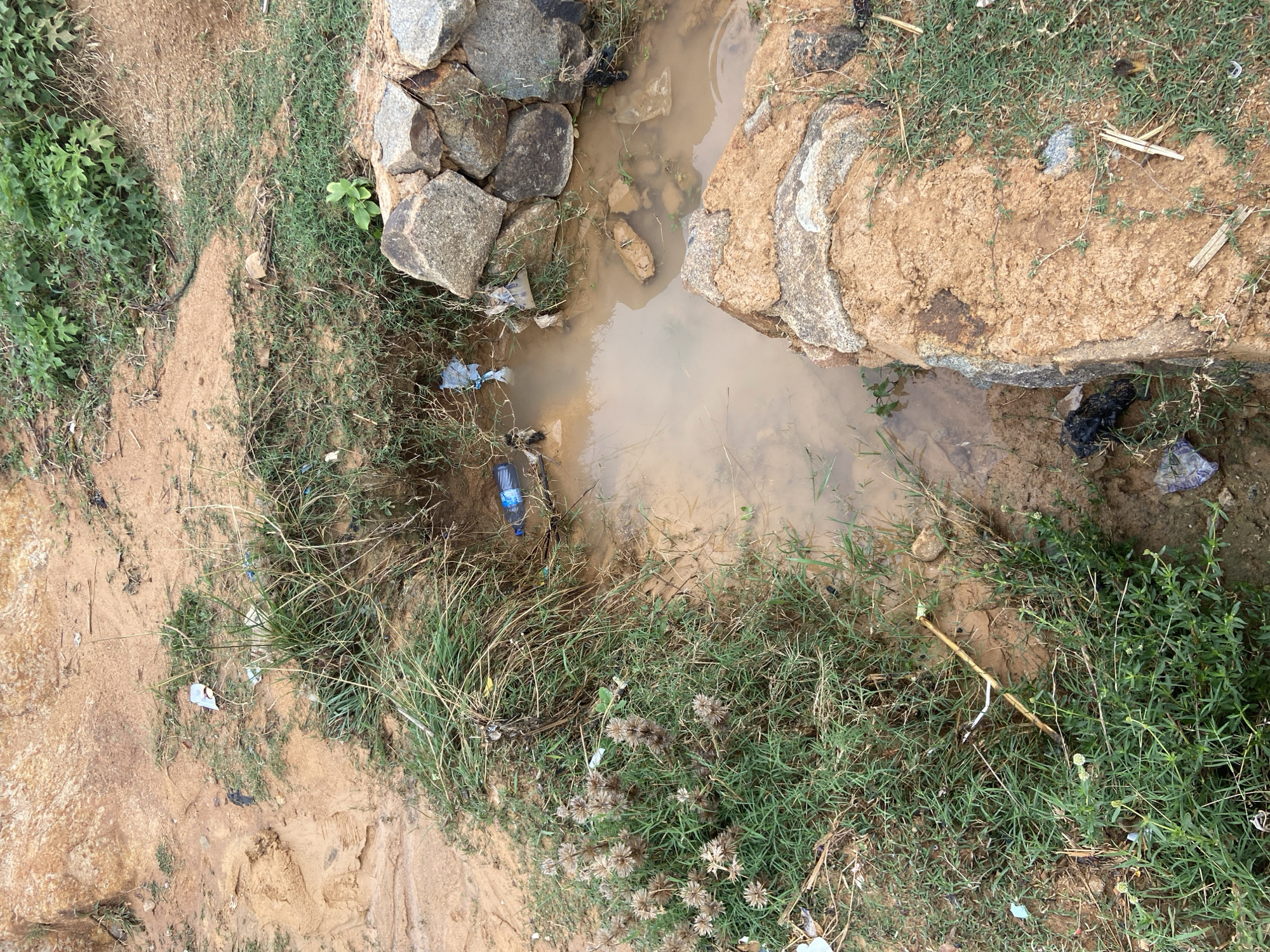 The image presents an overhead view of a small, muddy water body surrounded by earth, rocks, and various types of green vegetation. The scene depicts an outdoor, undeveloped area, aligning with the provided location context of Jos, Nigeria.
The central feature is an irregularly shaped pool of murky, brown water, suggesting a stagnant pond or a ditch filled with recent rainfall. The water's edges are defined by large, grey and brown rocks, some appearing as part of a natural formation or possibly a rudimentary embankment. The surrounding ground is a mix of damp, dark brown soil and lighter sandy patches, interspersed with tufts of green grass and other plants.
A notable aspect of the scene is the presence of human-made litter. Several plastic items are scattered both in and around the water. A blue plastic bottle is clearly visible, partially submerged in the water on the left side, and another clear plastic bottle is visible in the lower-left corner. Numerous pieces of crumpled plastic, such as wrappers and bags, are seen tangled within the grass, lodged against rocks, and floating in the water.
The vegetation includes patches of bright green grass, some with broader leaves, particularly on the left bank, and a denser area of finer grass with dried, light brown flower or seed heads in the lower right. No people or animals are present, and there is no visible activity taking place.
The lighting is soft, suggesting either an overcast day or early morning/late afternoon, with no harsh shadows. The overall impression is one of environmental neglect, with waste polluting a natural landscape. No legible text is discernible on any of the discarded items.