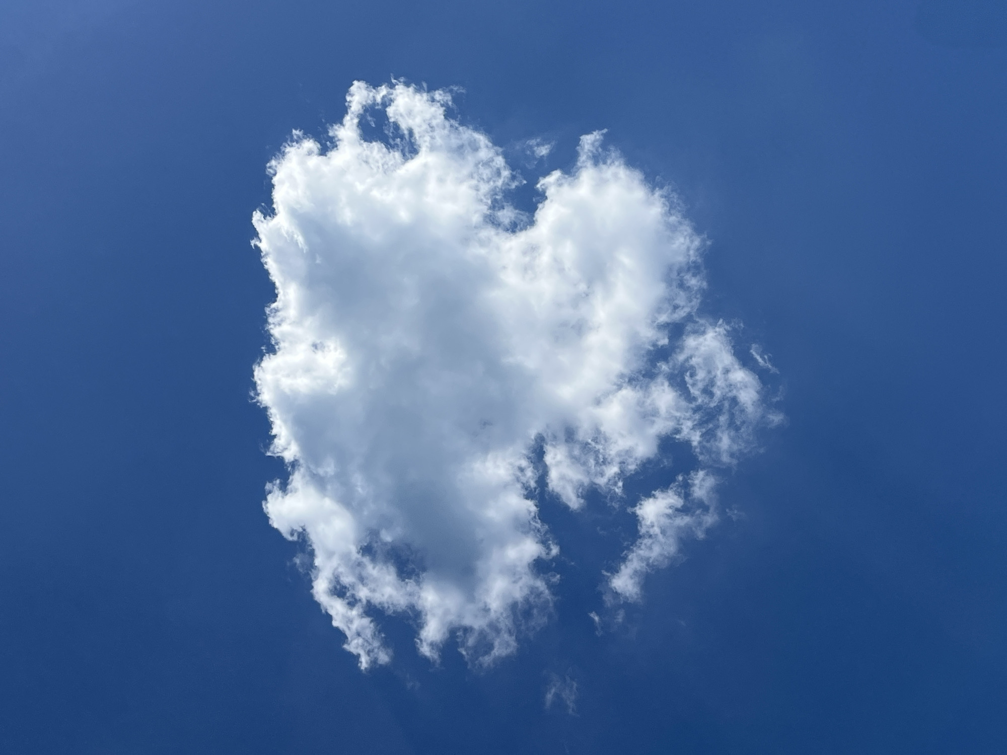 The image is a close-up, vertical shot of a single, fluffy white cloud set against a deep blue sky. The cloud is centered in the frame, with its edges appearing soft and somewhat wispy. The sky is clear and devoid of any other celestial bodies or man-made objects. There are no people or animals visible in the image. The lighting suggests it is daytime, with the sun likely positioned above and out of frame, illuminating the cloud from above and casting subtle shadows within its structure. The environment is simply the sky, with no discernible geographical markers that would indicate a specific location within Mattinata, Italy, or any other city.