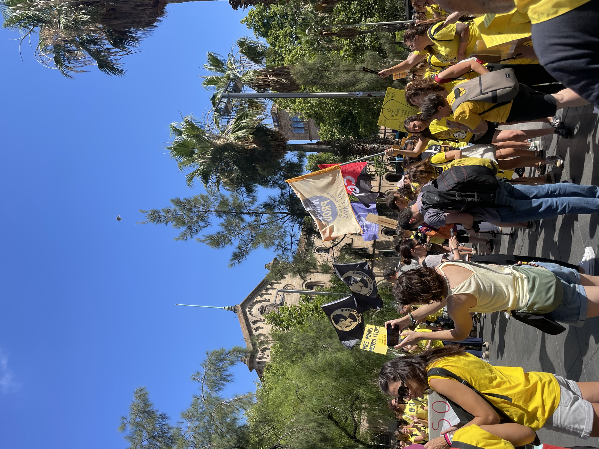 A group of people are gathered in a city street, with palm trees and a building visible in the background. Many of the people are wearing yellow shirts and holding up signs and flags. The building appears to be a historical structure, possibly a university or government building, with ornate architecture. The flags are of various colors, including black and yellow, and some have images and text on them. The signs also have text and images, suggesting a protest or demonstration is taking place. The sky is clear and blue, indicating a sunny day. One flag has text that appears to be in Catalan, a language spoken in Catalonia, Spain. The building's architectural style, the palm trees, and the prevalence of Catalan language on the signs strongly suggest the location is Barcelona, Spain.