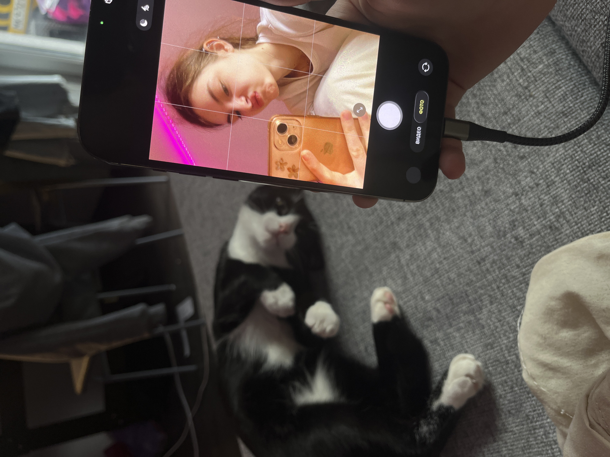 A smartphone is positioned to photograph a black and white cat lying on its back on a gray textured surface, likely a sofa or blanket. The phone displays a selfie of a fair-skinned person with light brown hair wearing a white shirt. The person in the selfie is holding up a gold-colored phone with a floral design on the case. A black charging cable is connected to the photographing phone. The background includes a shelving unit. The location is not evident from the image.
