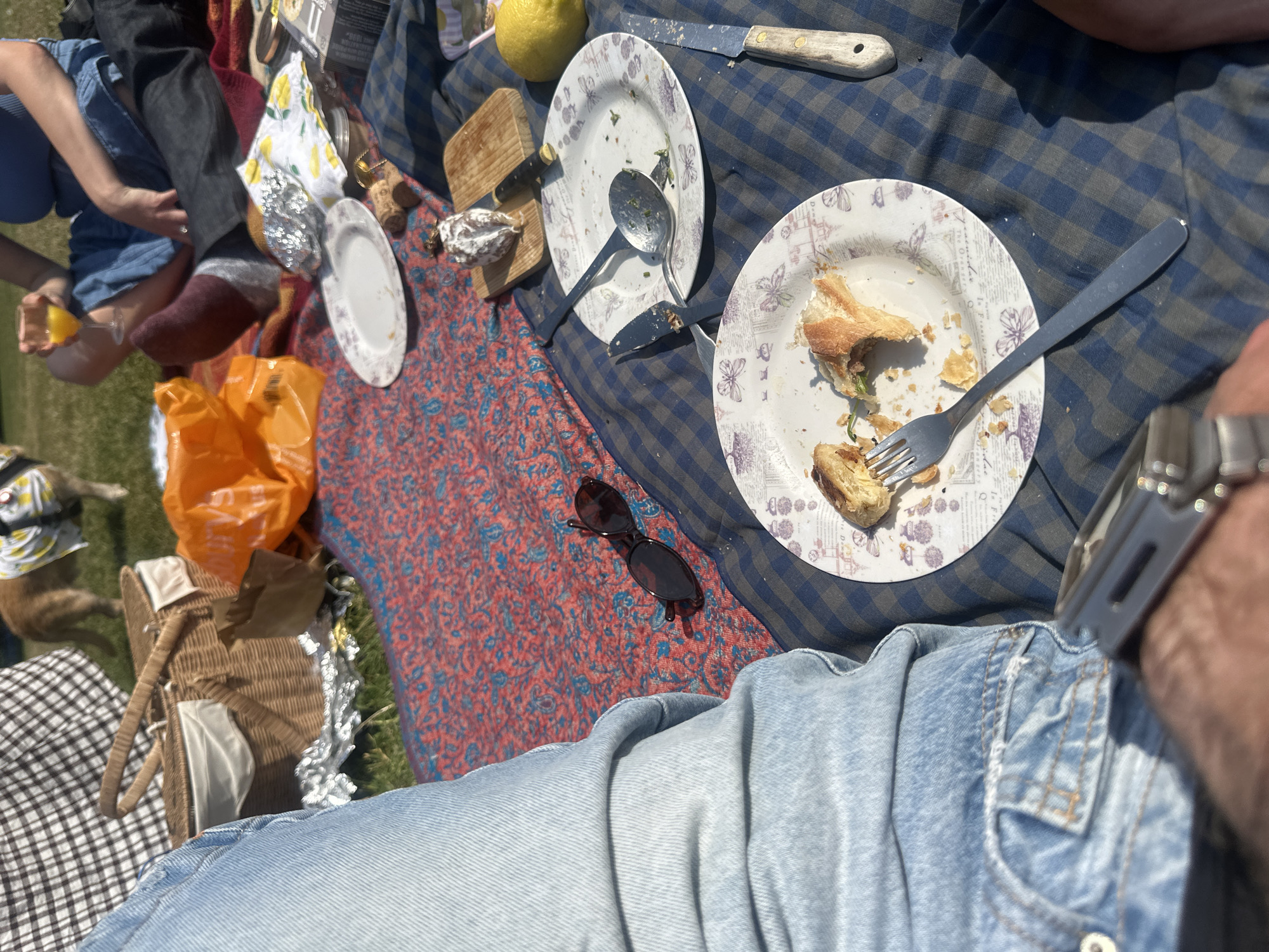 The image shows a picnic spread on a blanket in an outdoor setting, possibly a park. The scene includes several individuals, but only their limbs and portions of their clothing are visible. There are plates with food remnants, cutlery, a lemon, a wooden board, and other picnic-related items scattered across the blanket. Sunglasses rest on the blanket between the plates. A picnic basket is partially visible in the lower-left corner, along with what appears to be a dog. One individual is wearing light-wash denim jeans and a metallic watch. The location is not discernible enough to determine if it's in London.