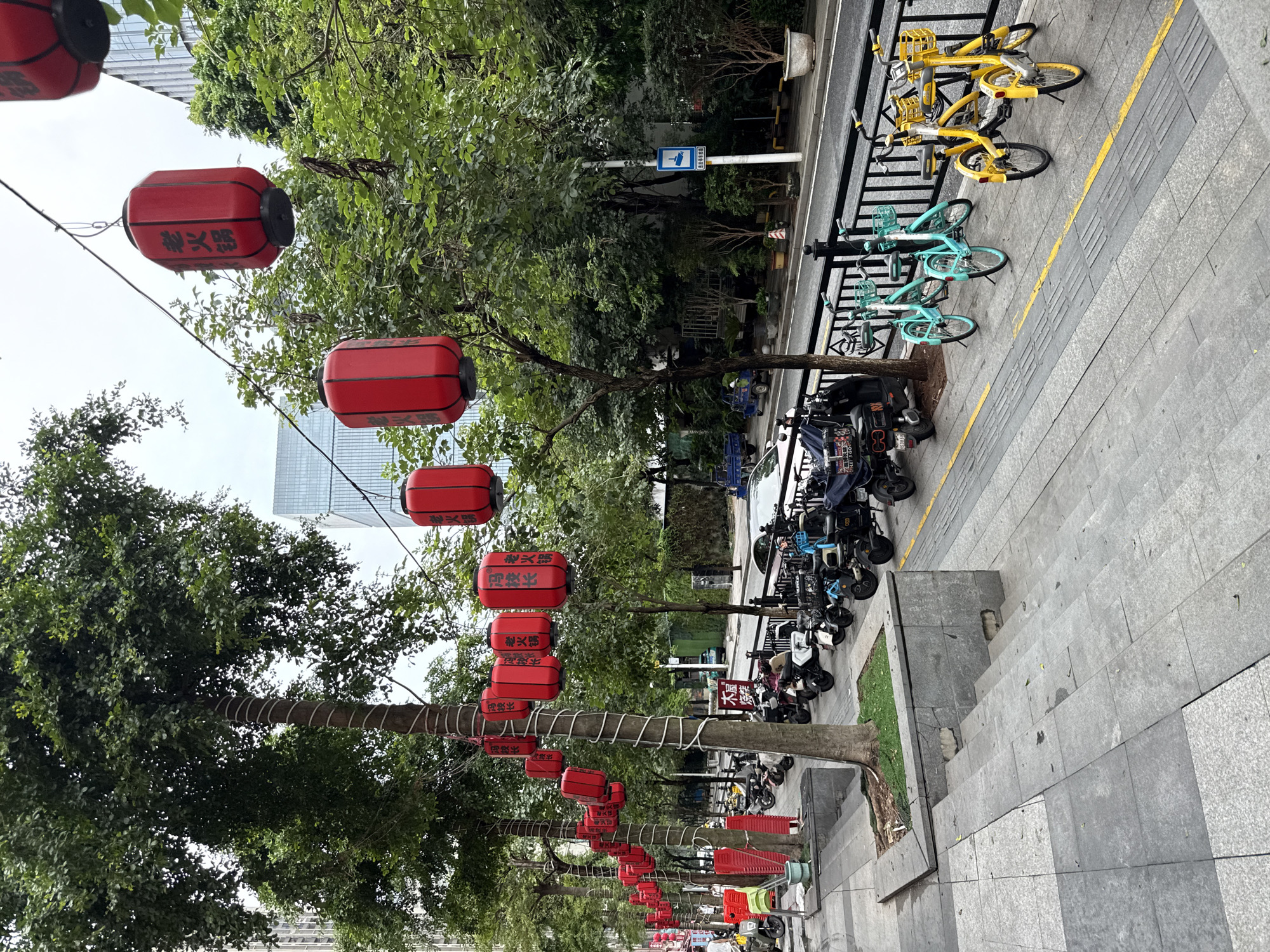 The image depicts a street scene in Haizhu District, China, characterized by a row of trees lining a sidewalk. Red, hexagonal lanterns with Chinese characters are strung along a wire above the sidewalk, suspended between the trees. The sidewalk is paved with gray tiles and features a tactile paving strip for visually impaired pedestrians. Adjacent to the sidewalk is a road with a yellow line marking. Parked on the sidewalk are numerous electric scooters and bicycles, some of which are shared rental bikes in teal and yellow. A stone staircase leads up from the sidewalk to a slightly elevated walkway. In the background, modern buildings and lush greenery are visible. The sky is overcast. There are no people clearly engaged in any action.