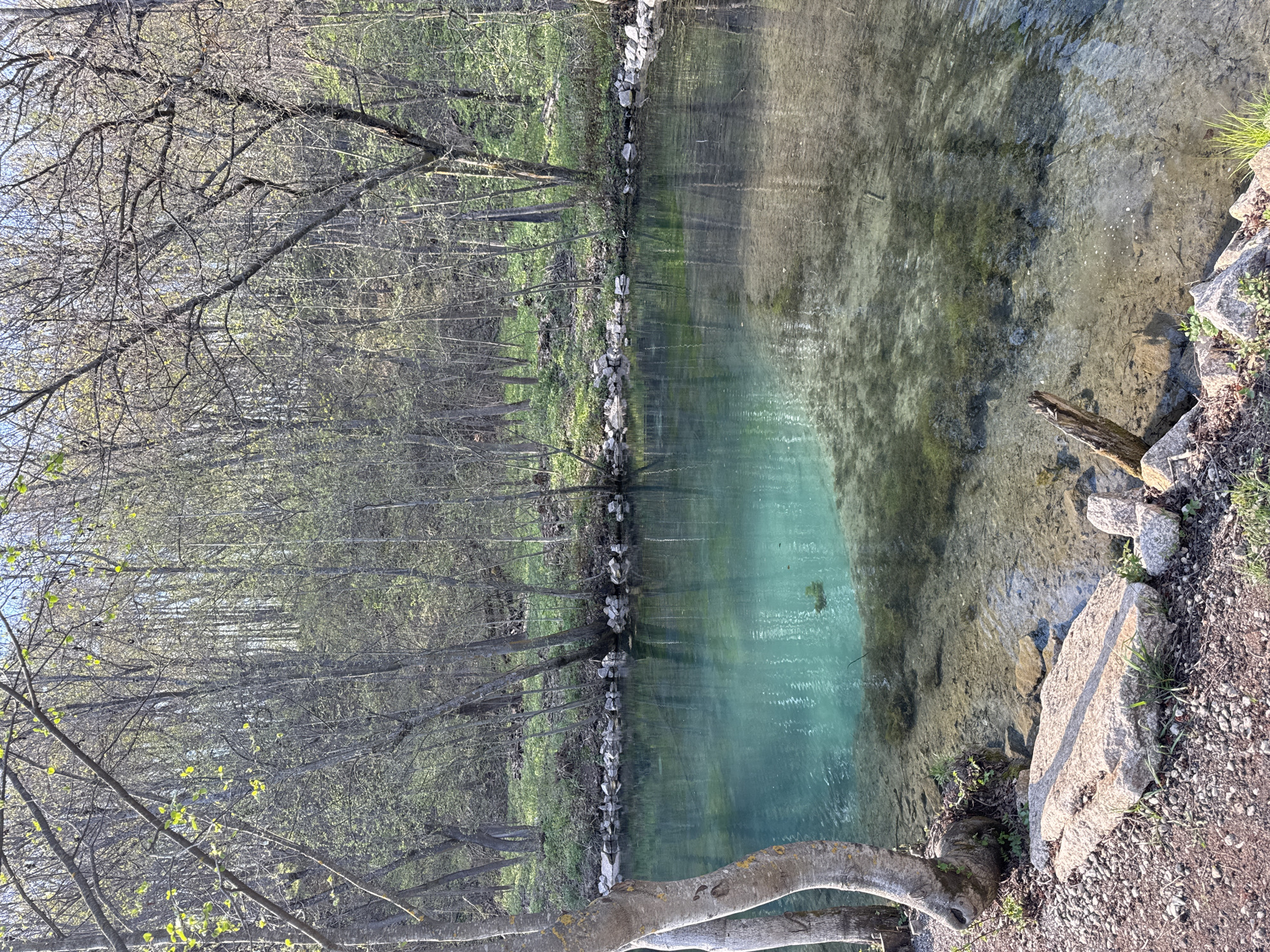 The image shows a body of water, possibly a river or pond, in a natural setting. The water has varying shades of blue and green, suggesting different depths or compositions. The banks are lined with trees, some bare and some with budding leaves, indicating early spring. A rocky embankment is visible along one side. The right side of the image shows a gravel path or area. The location is inferred to be in the city of Sdt Shcherbakovka, Russia.