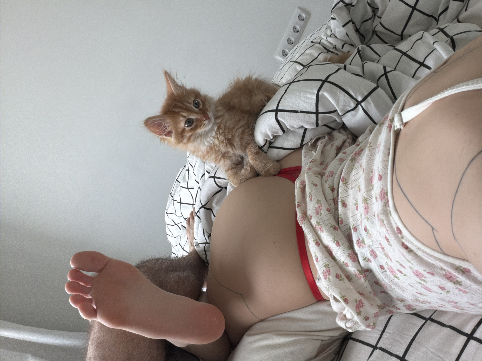 The image depicts a view of a bed scene, likely indoors. A person is lying in bed, partially covered by white bedding with a black grid pattern and a floral-patterned white top. A small, orange kitten is perched on the person's lower back/buttocks. Part of a human foot and leg with dark hair are visible to the left. An electrical outlet with four sockets is visible on the white wall. The image was not taken in the city of Khimki, Russia.