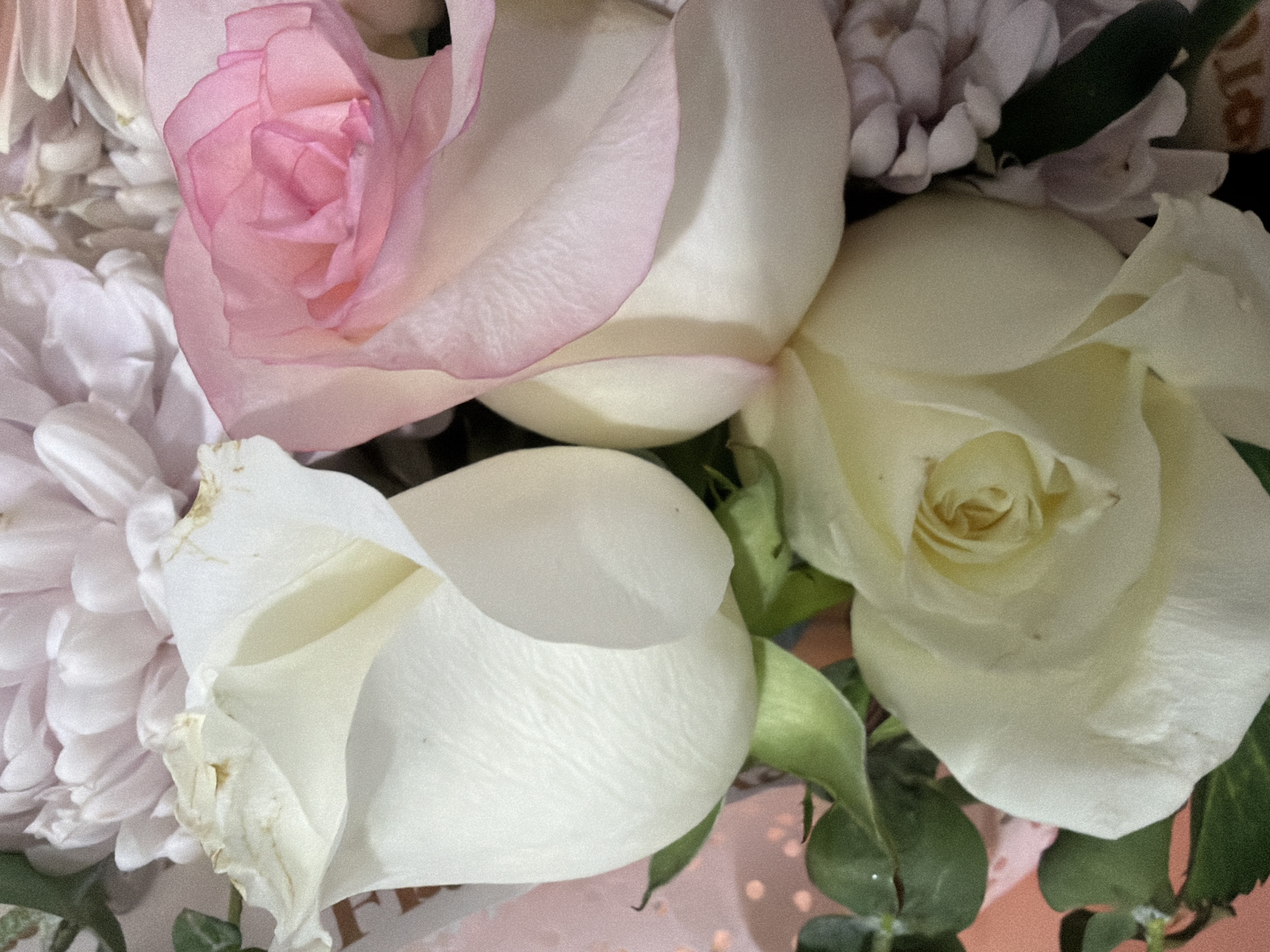 A close-up shot of a bouquet of flowers, featuring several roses and what appear to be chrysanthemums. The color palette is soft and delicate, with pastel pinks, whites, and creams dominating the scene. The roses are in various stages of bloom, with some tightly closed and others fully open. The chrysanthemums have a layered, feathery texture. The overall impression is one of freshness and beauty. The location of the scene is Unknown, Unknown.
