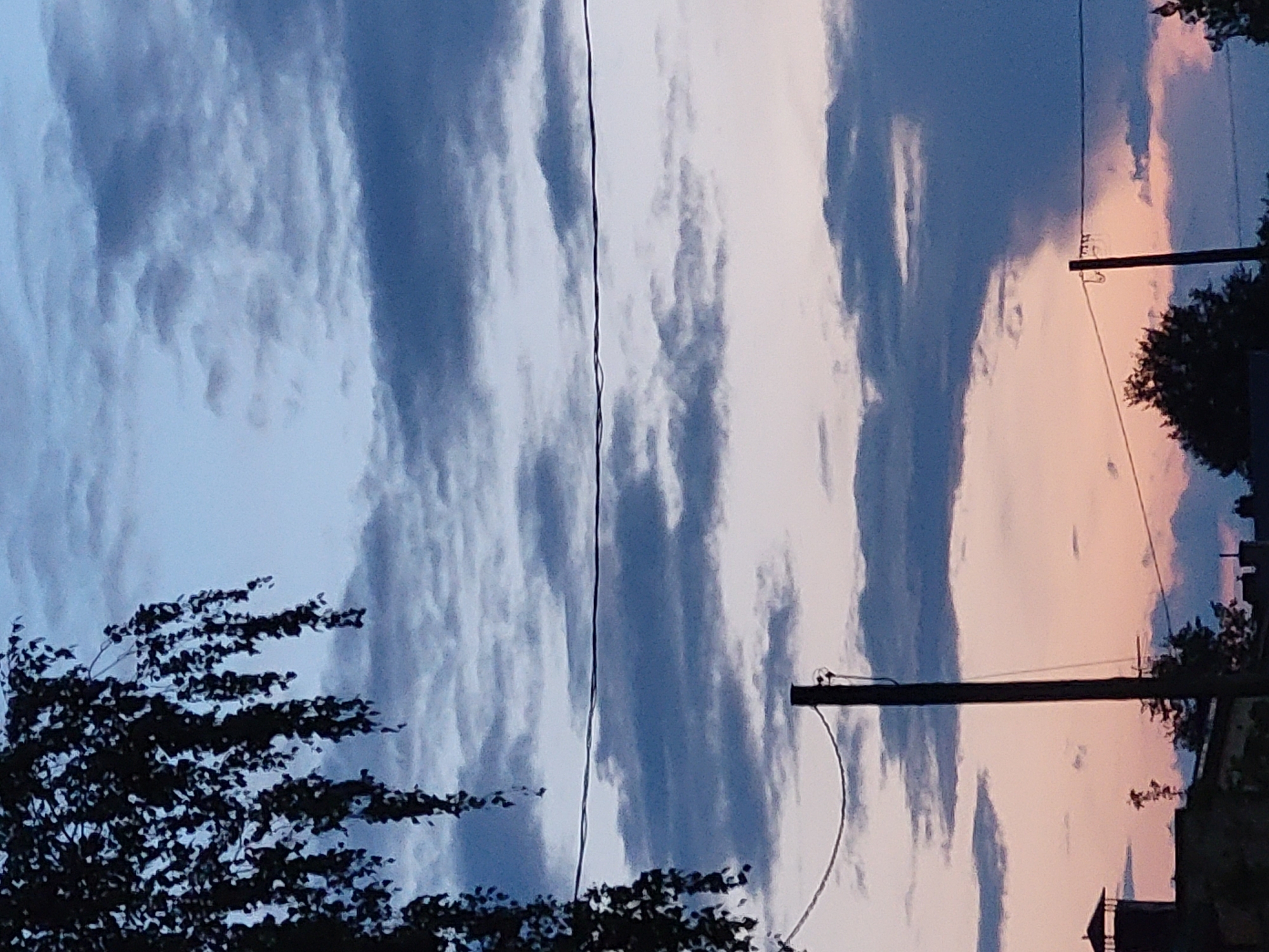 A wire stretches horizontally across the frame of a twilight sky, bisecting the view of soft, gray clouds. On the left, dark, leafy branches hang from the top of the image, obscuring a portion of the sky. A single wooden pole stands vertically in the middle ground, with another wire extending from it diagonally downwards. In the lower left corner, the silhouette of a chimney with a cap is visible atop a building. To the right of the chimney, the dark silhouettes of trees emerge against the softly lit sky. The sky itself transitions from a pale blue at the top to a dusky pink and orange hue near the horizon.